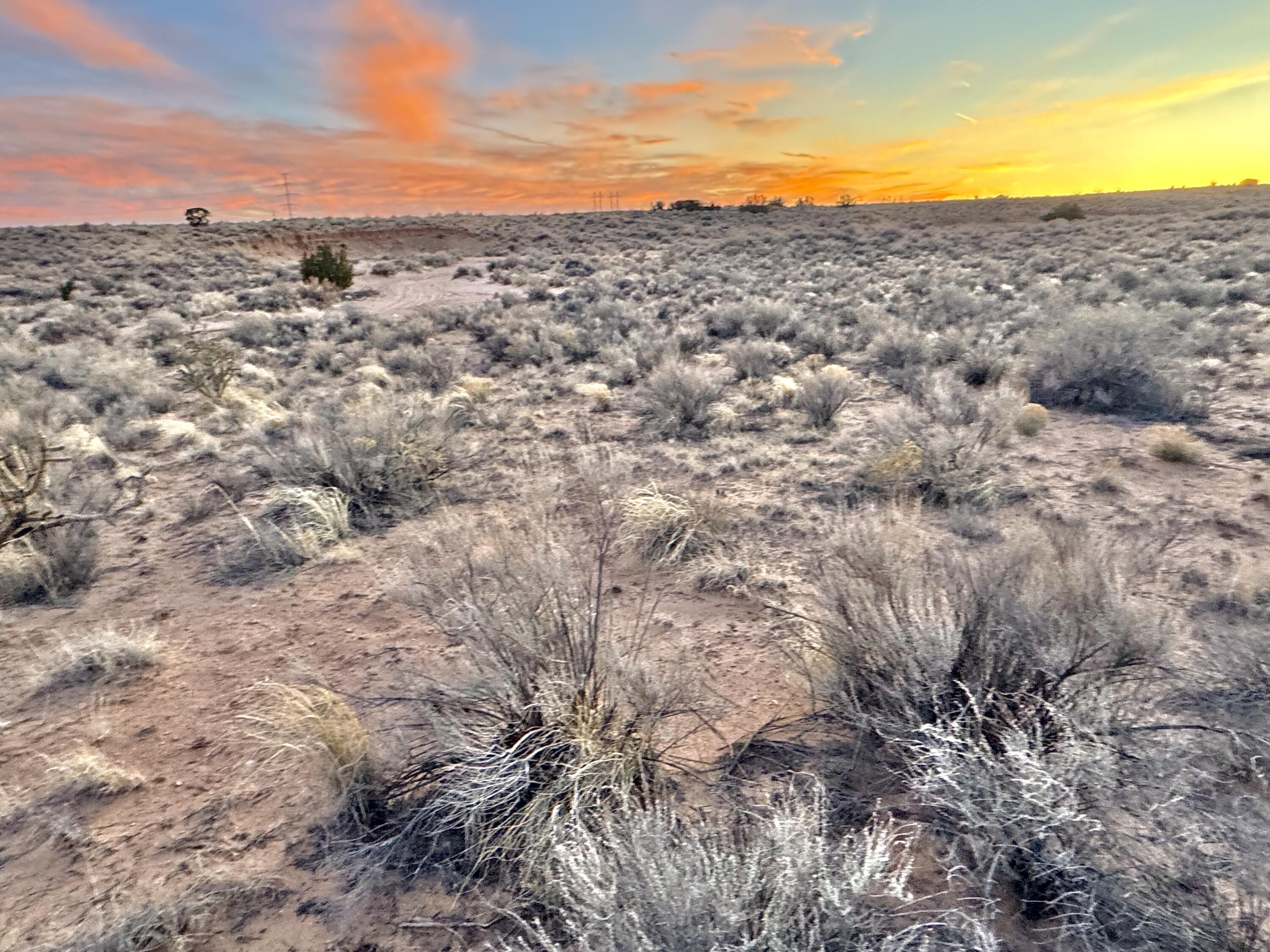 Moon Road, Rio Rancho, New Mexico image 14