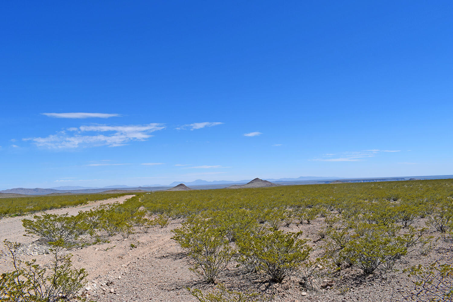 Lot 7 Quail Run Drive, San Antonio, New Mexico image 25