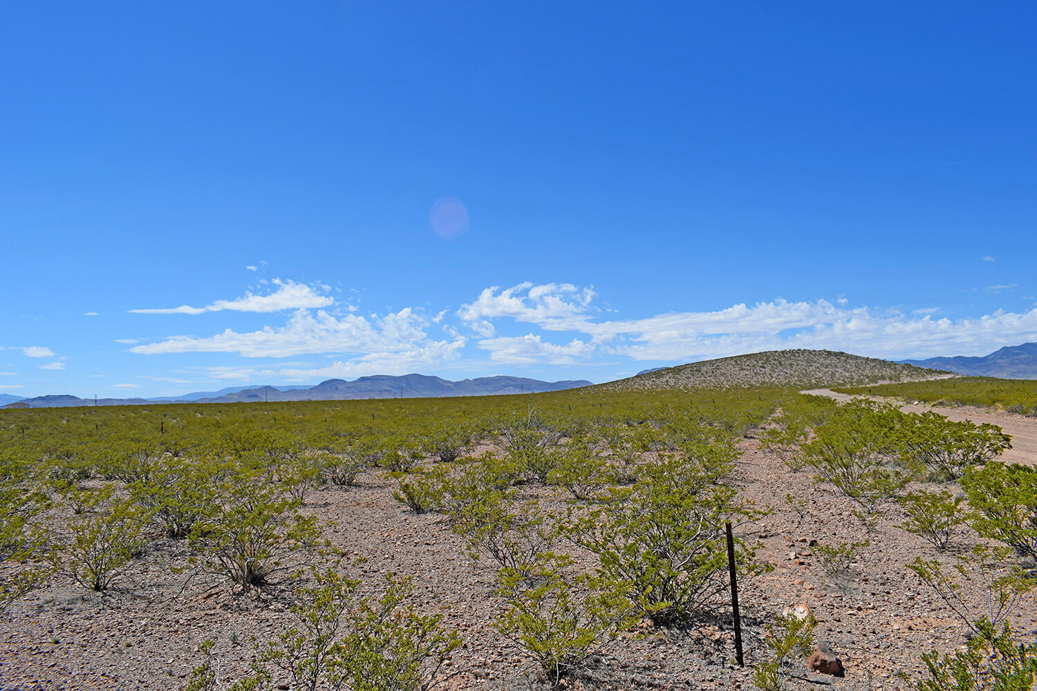 Lot 7 Quail Run Drive, San Antonio, New Mexico image 10