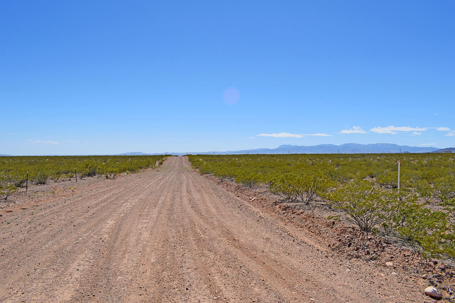 Lot 7 Quail Run Drive, San Antonio, New Mexico image 3