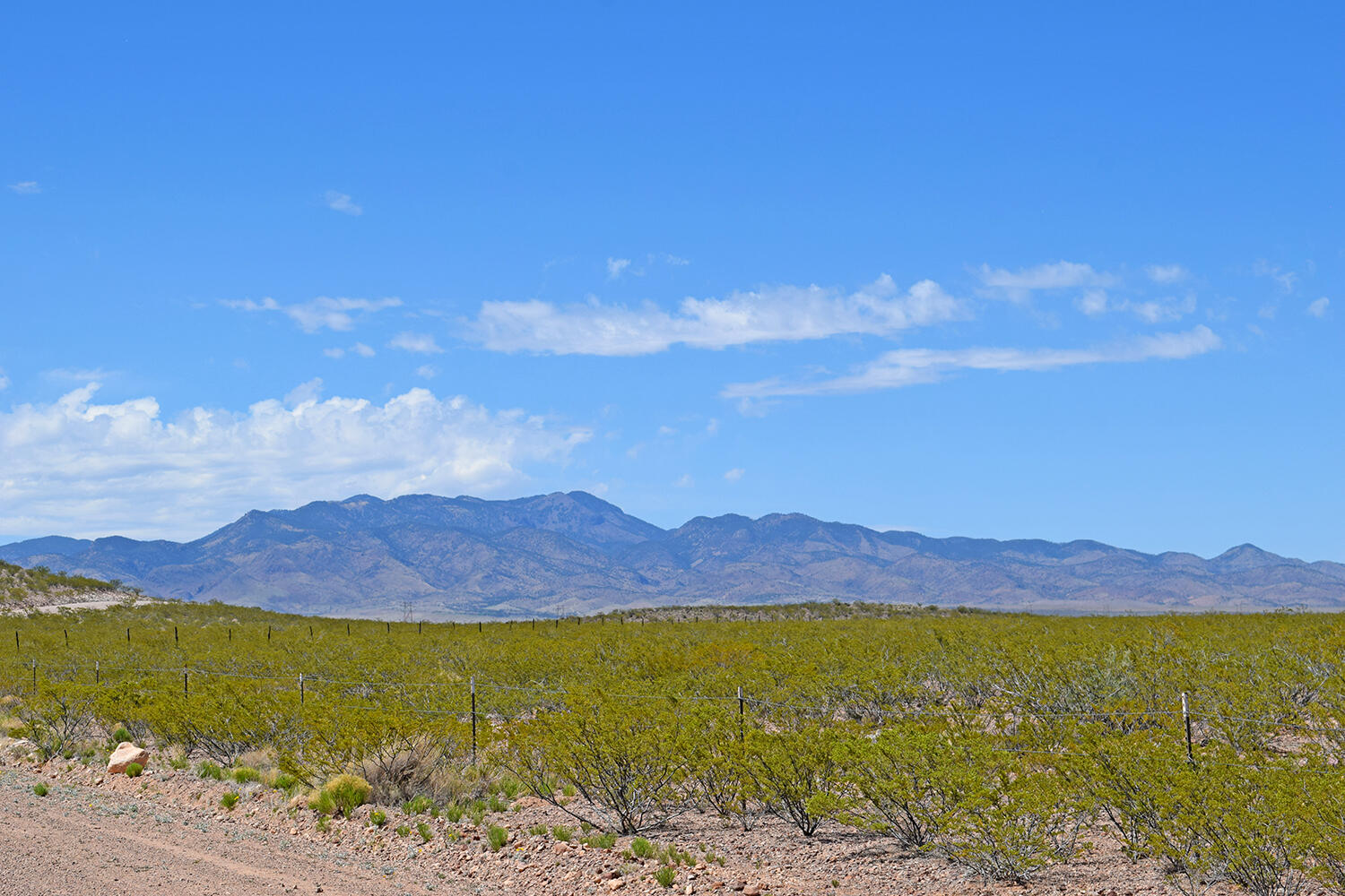 Lot 7 Quail Run Drive, San Antonio, New Mexico image 12