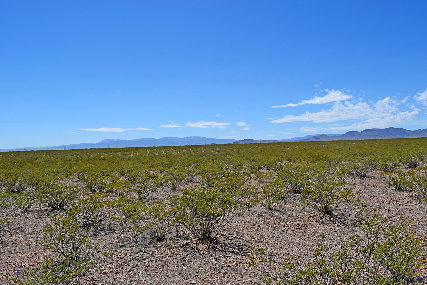 Lot 7 Quail Run Drive, San Antonio, New Mexico image 11