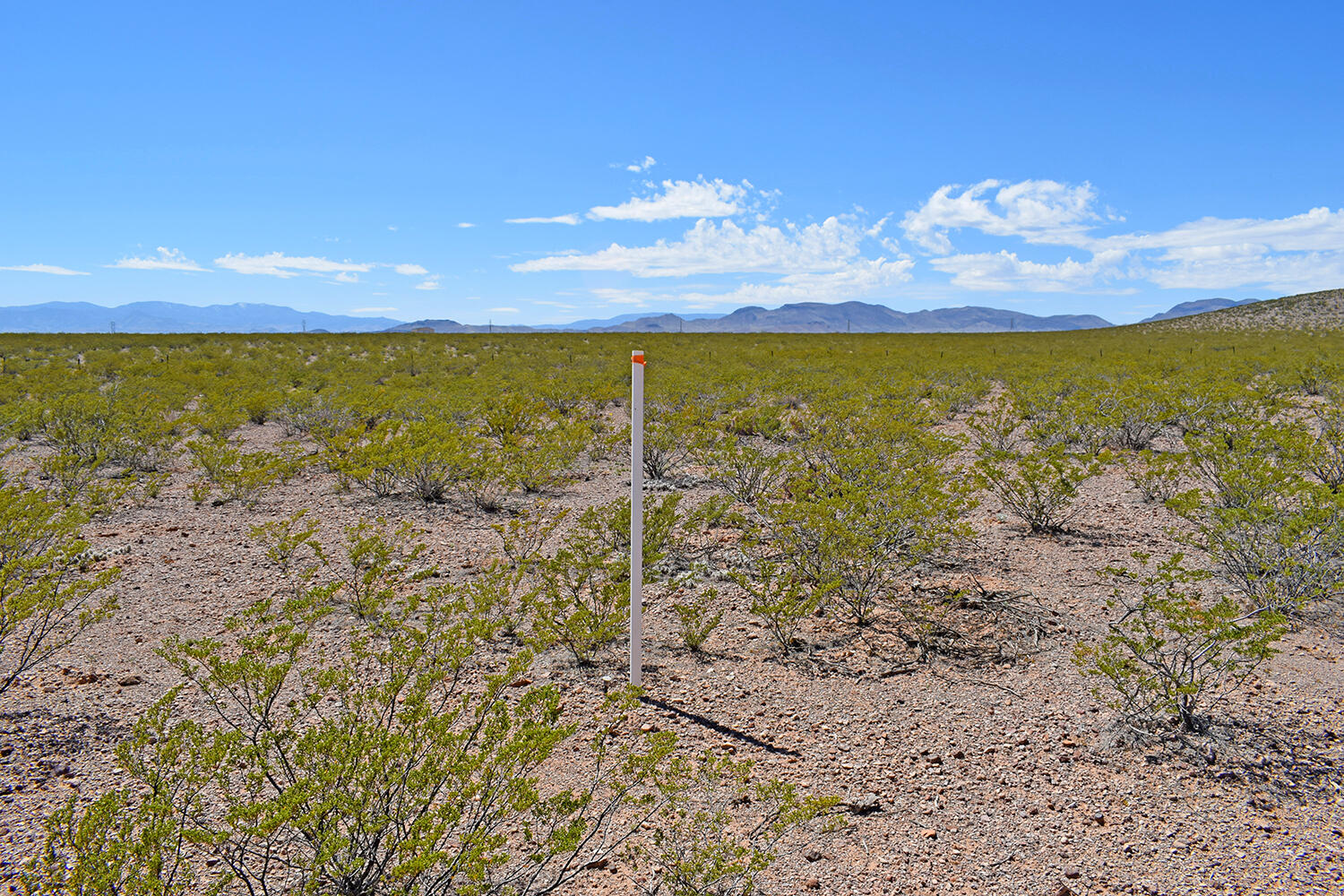 Lot 7 Quail Run Drive, San Antonio, New Mexico image 5