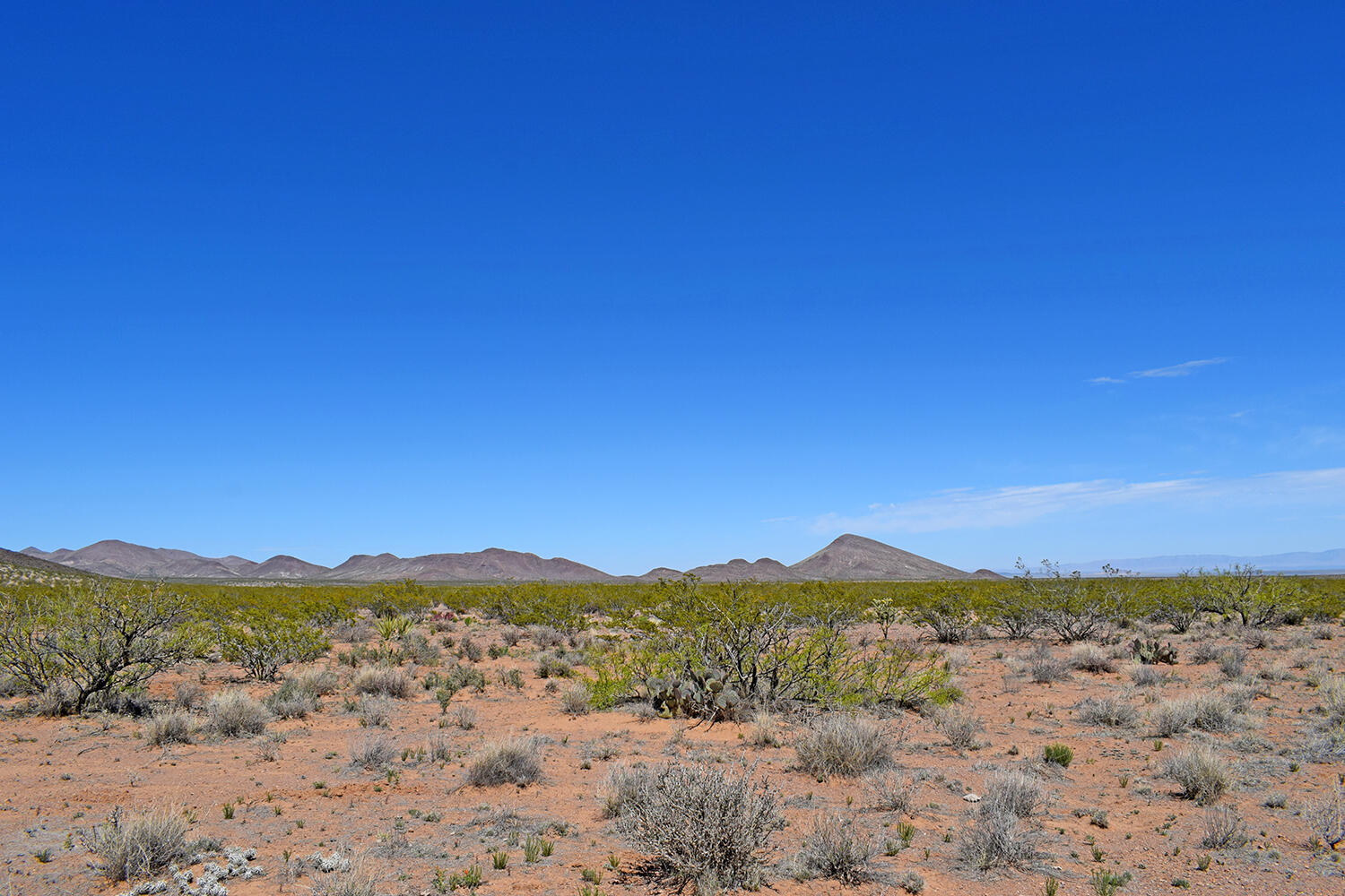 Lot 7 Quail Run Drive, San Antonio, New Mexico image 33