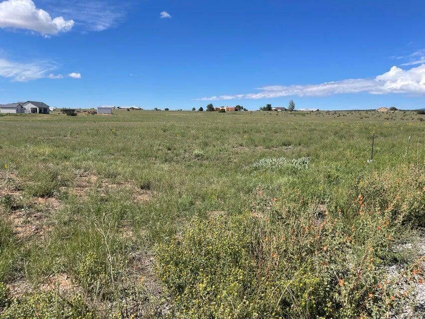 11 Thousand Hills Road, Edgewood, New Mexico image 1