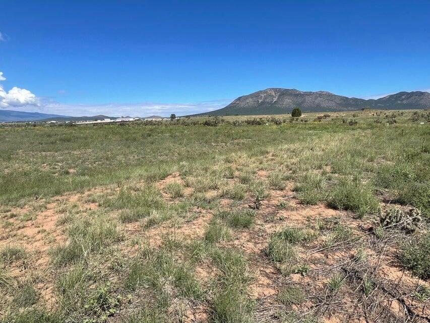 11 Thousand Hills Road, Edgewood, New Mexico image 2