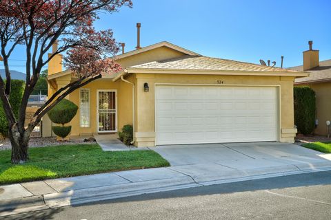 Photo of 524 SEWARD PARK Avenue NE, Albuquerque, NM 87123 (MLS # 1091582)