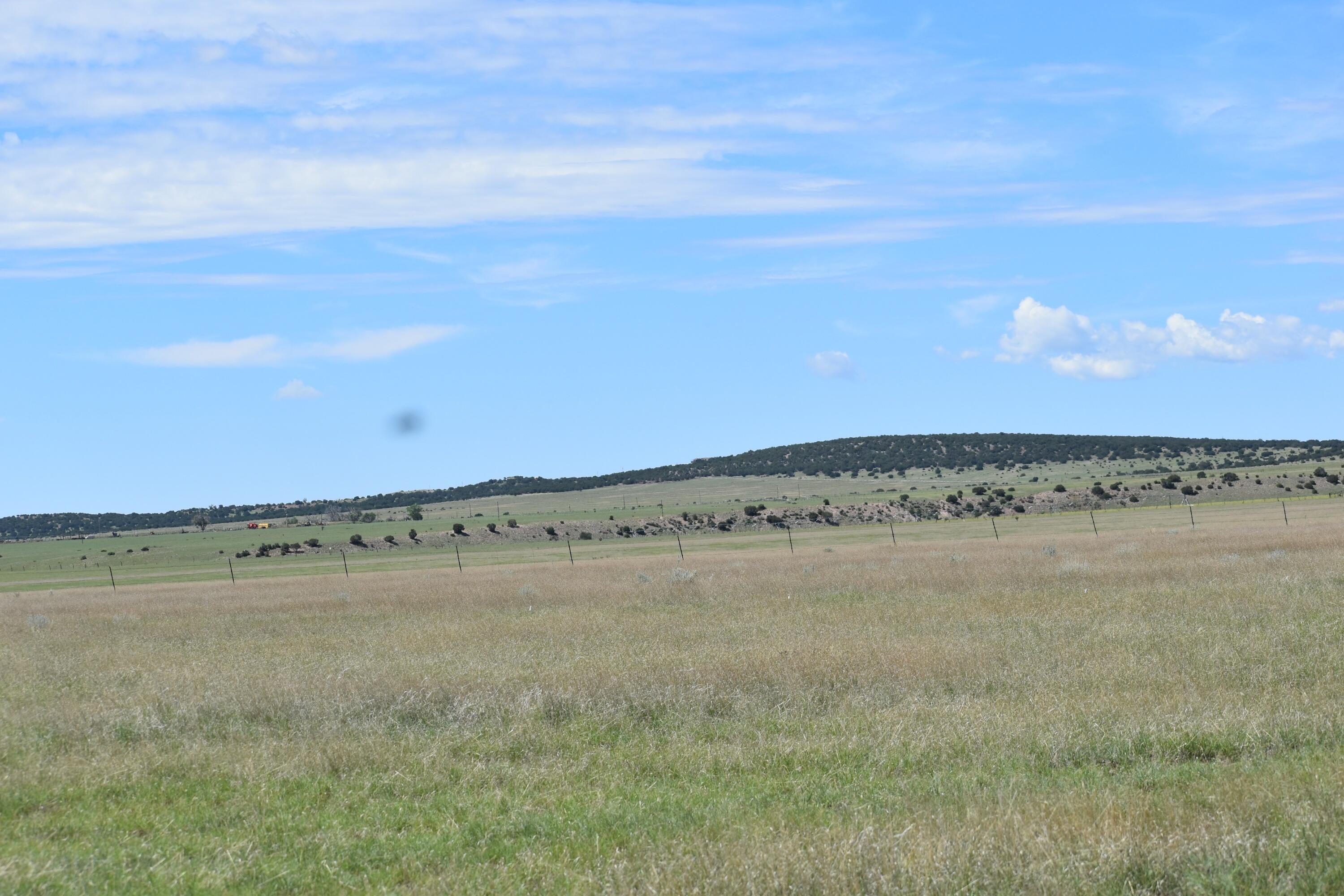 00 Sunrise Drive, Moriarty, New Mexico image 8