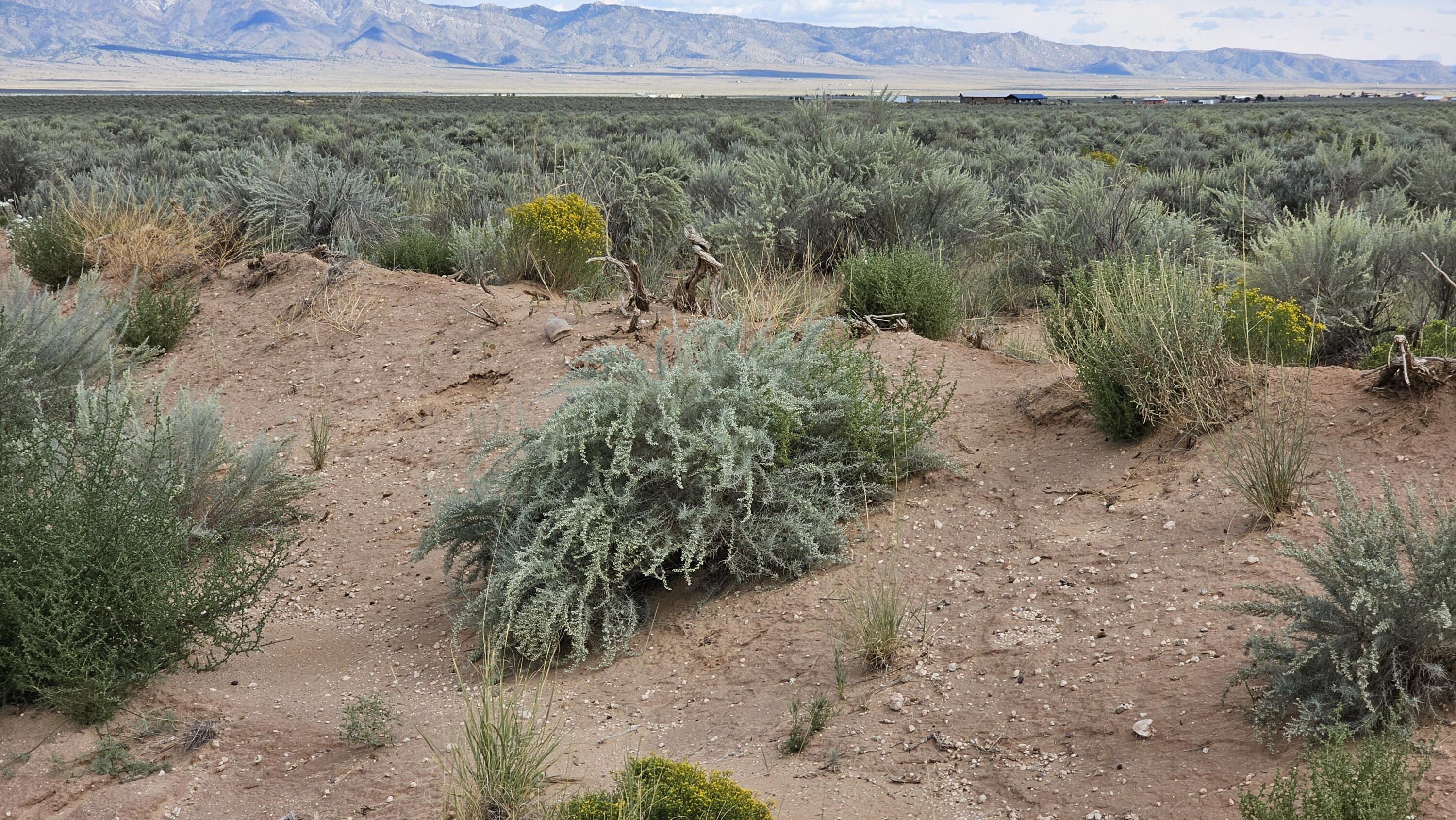 VL Lot 8 Block 1343 #U, Belen, New Mexico image 1