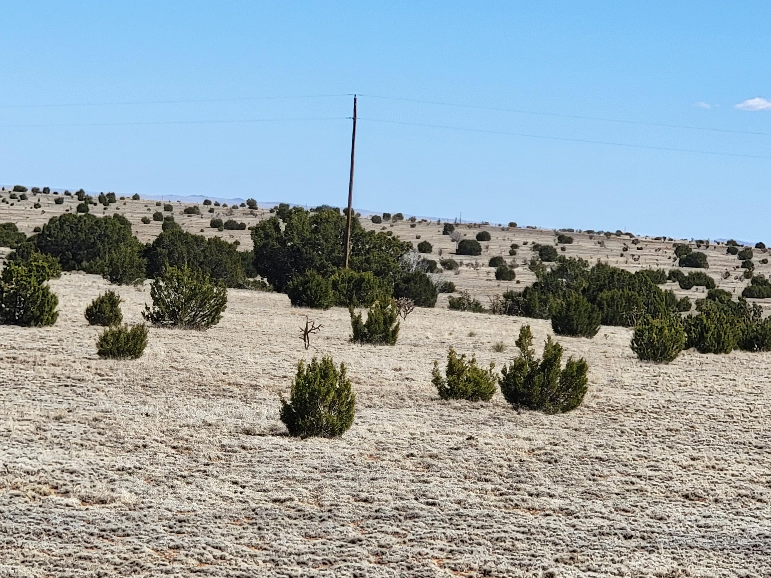90 Quiet Valley Drive, Estancia, New Mexico image 1