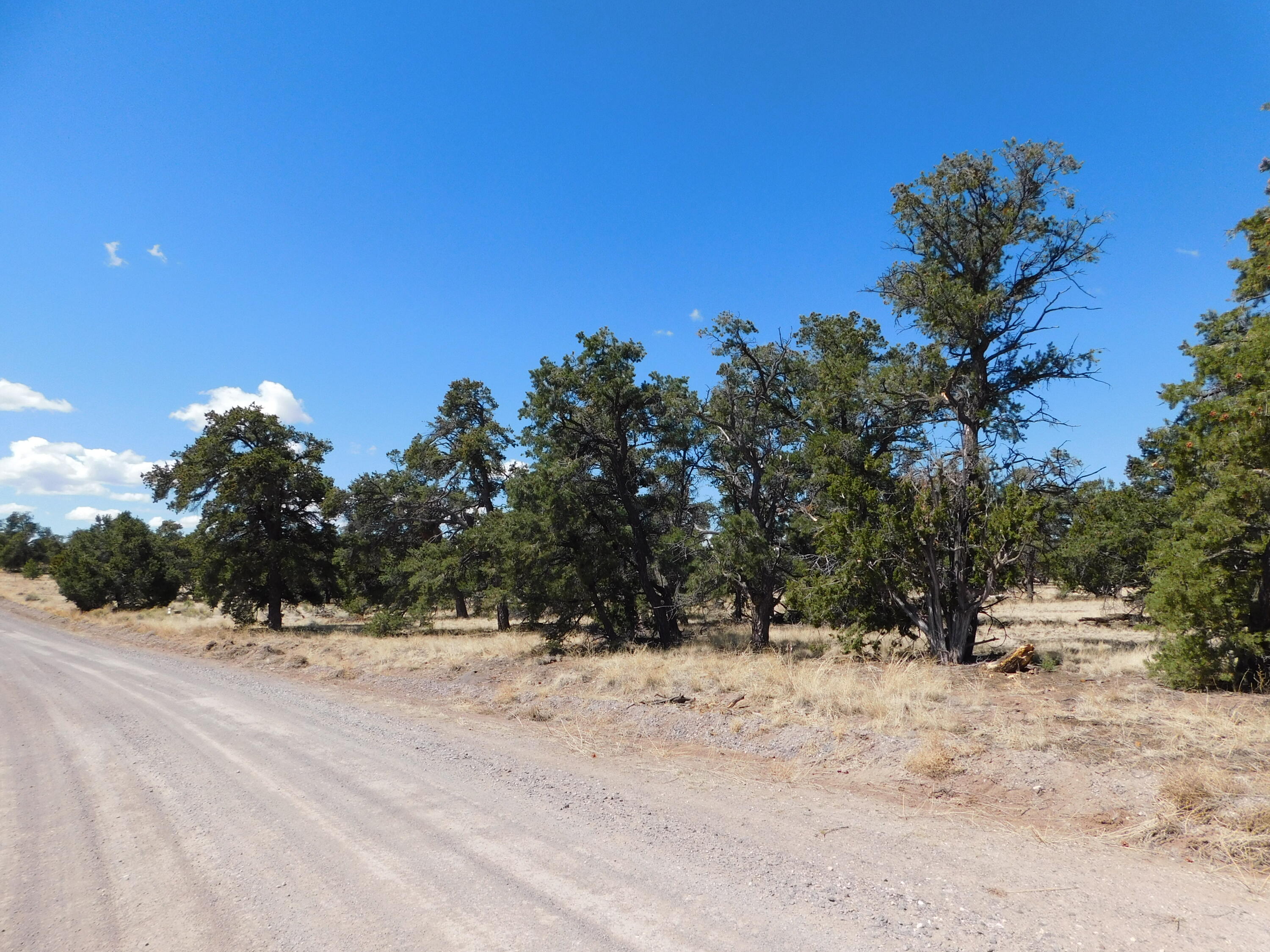 15 River Lane, Quemado, New Mexico image 3
