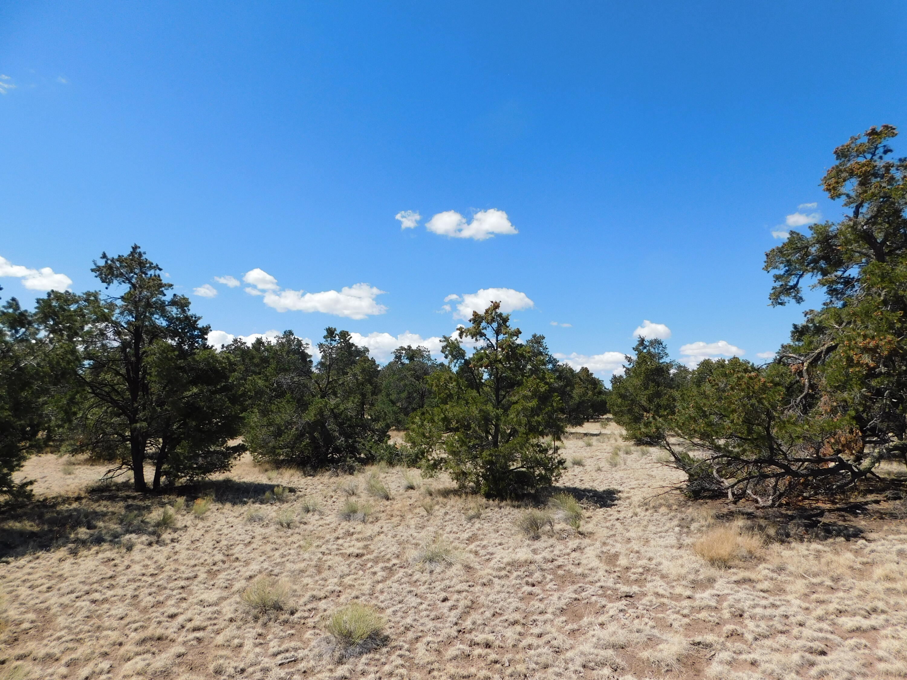 15 River Lane, Quemado, New Mexico image 10