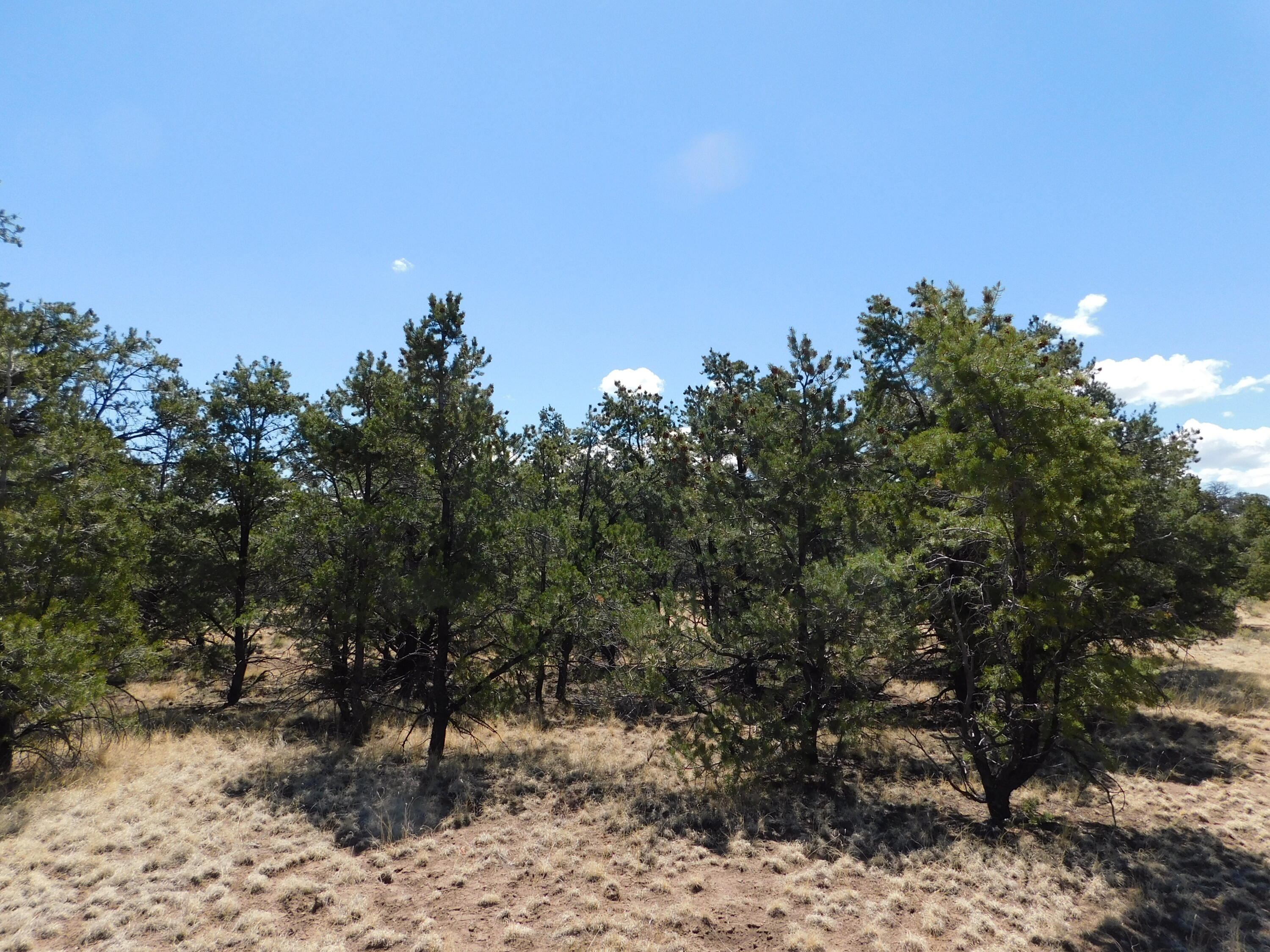 15 River Lane, Quemado, New Mexico image 13