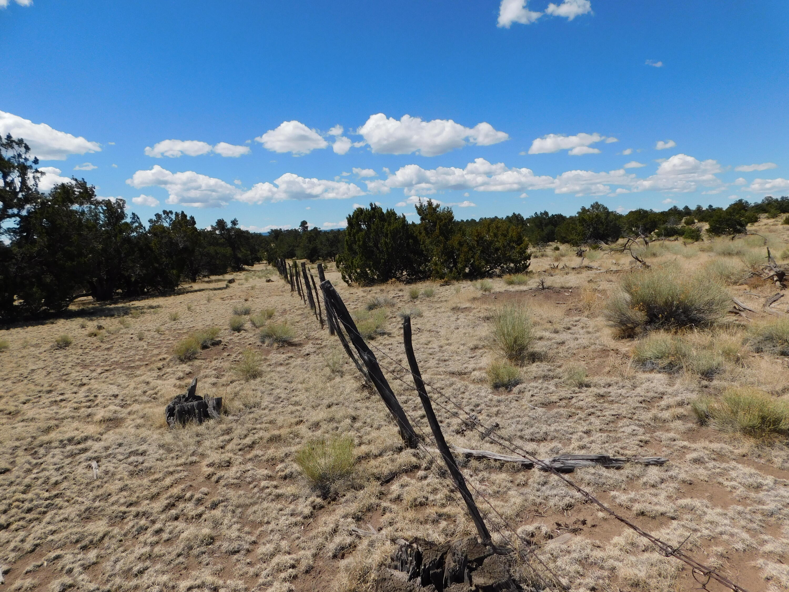 15 River Lane, Quemado, New Mexico image 7