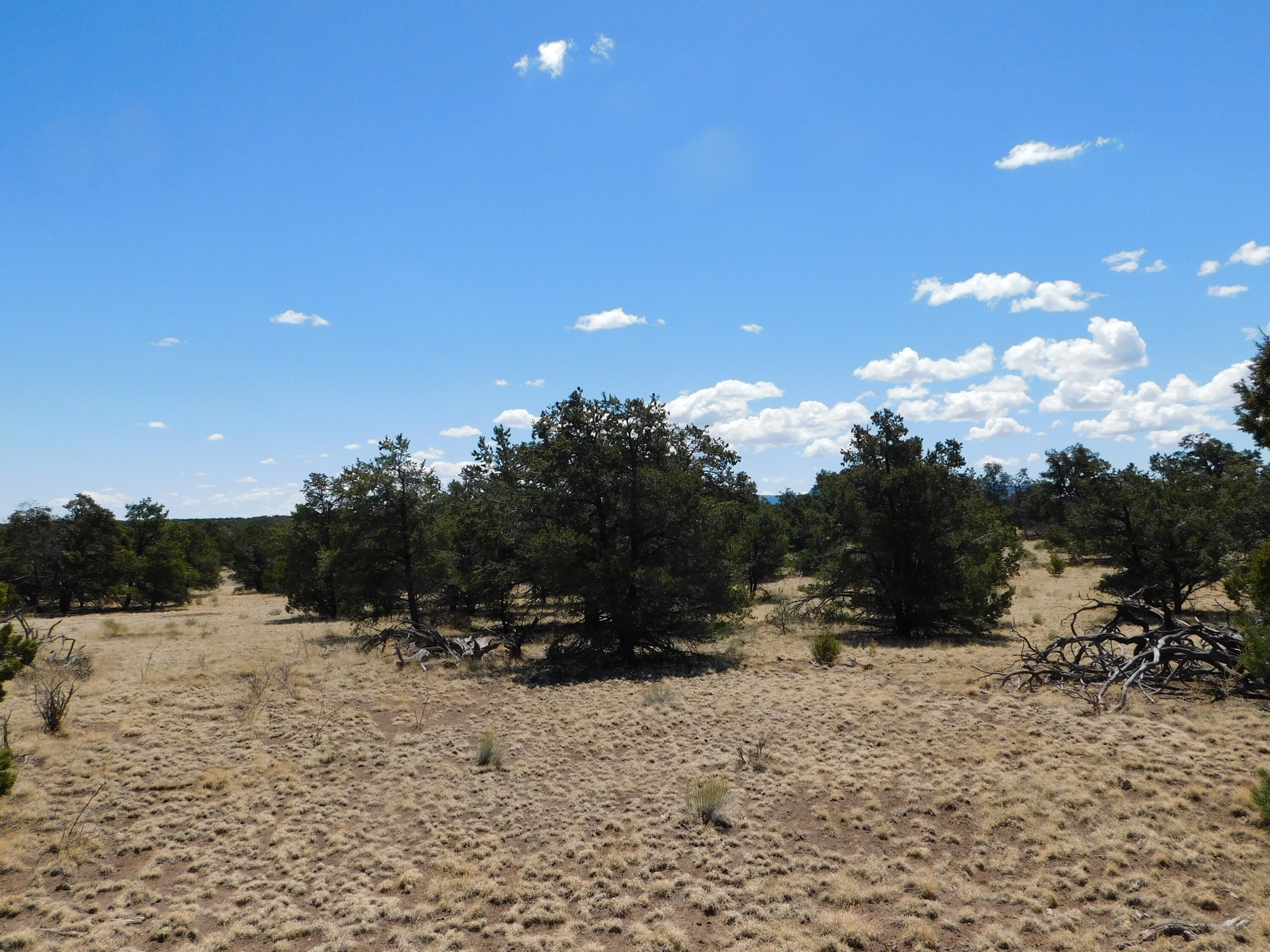 15 River Lane, Quemado, New Mexico image 14