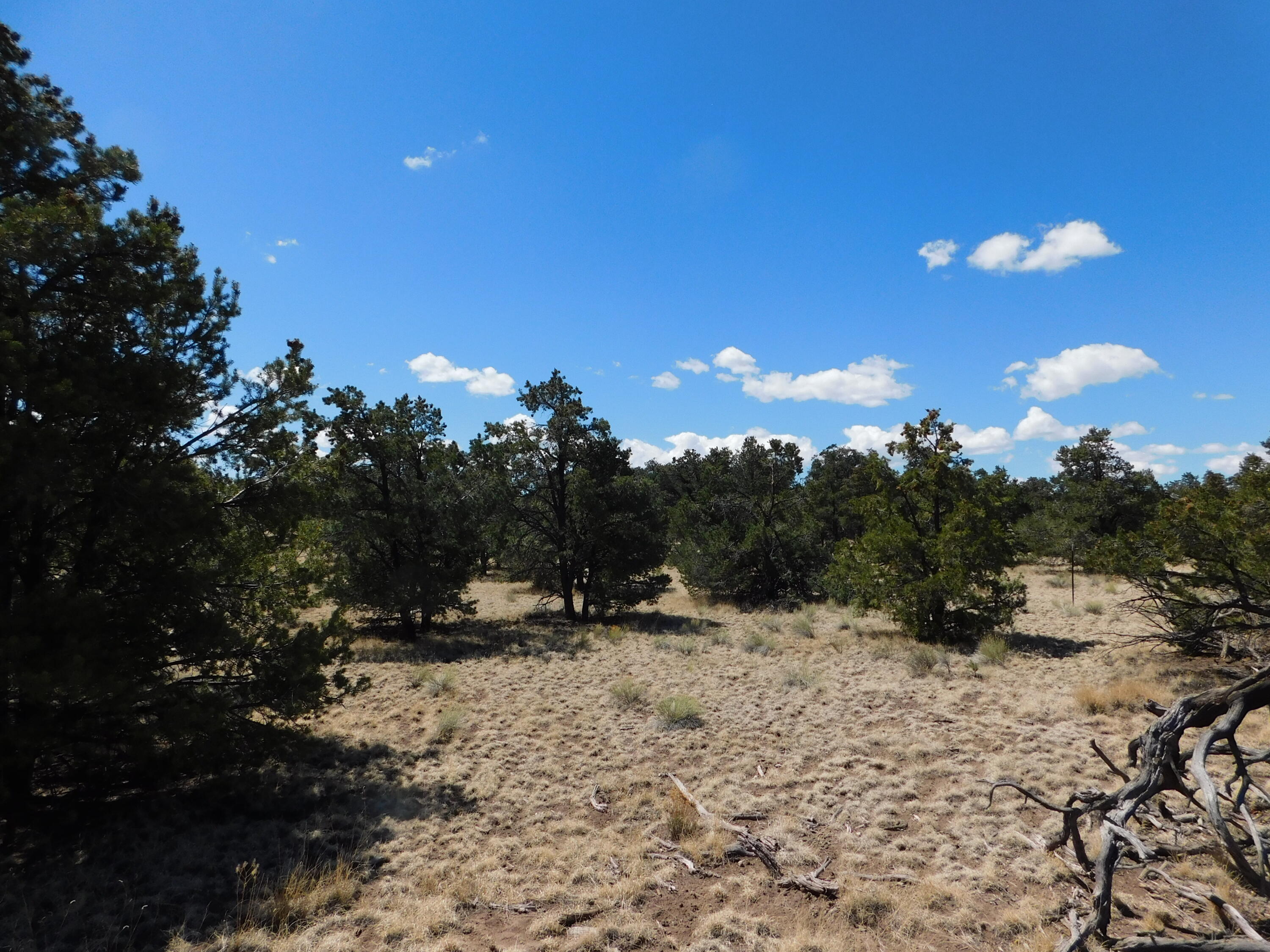 15 River Lane, Quemado, New Mexico image 9