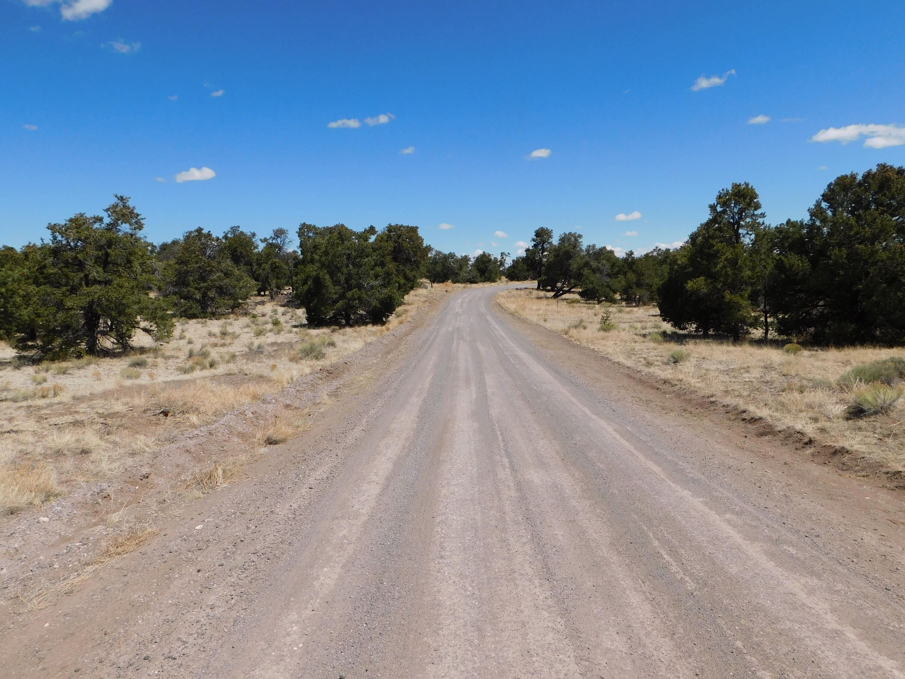 15 River Lane, Quemado, New Mexico image 16