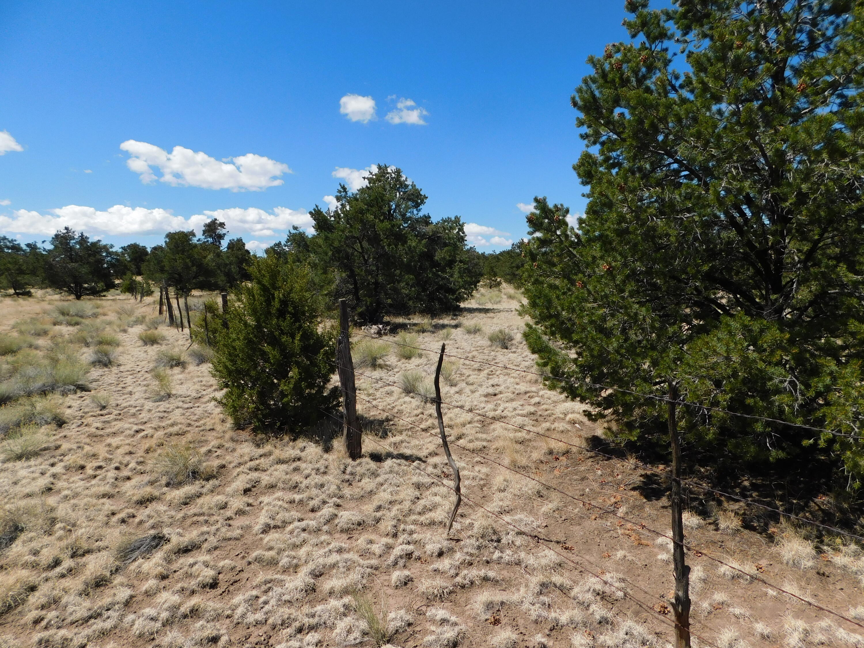 15 River Lane, Quemado, New Mexico image 5