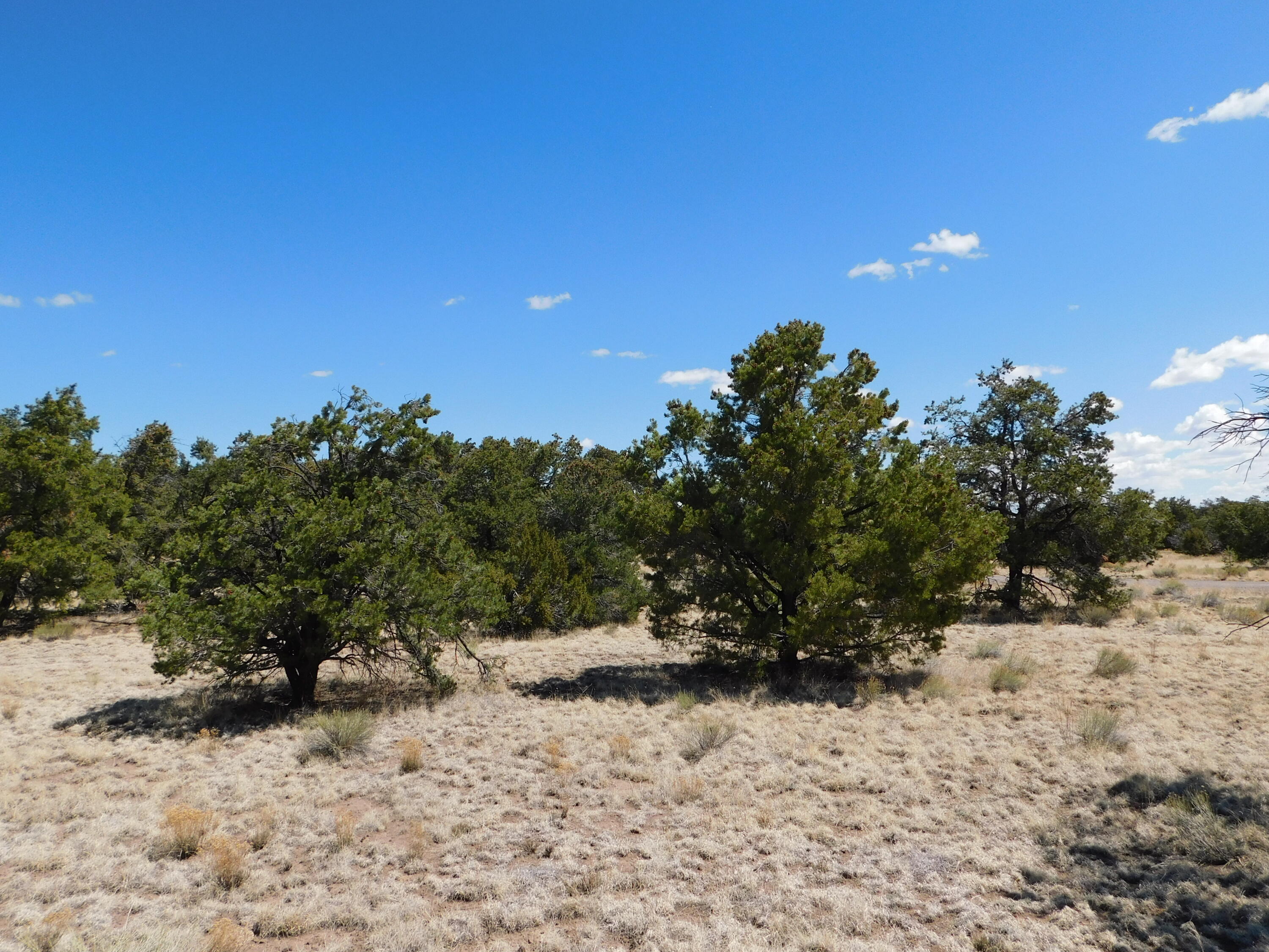 15 River Lane, Quemado, New Mexico image 15