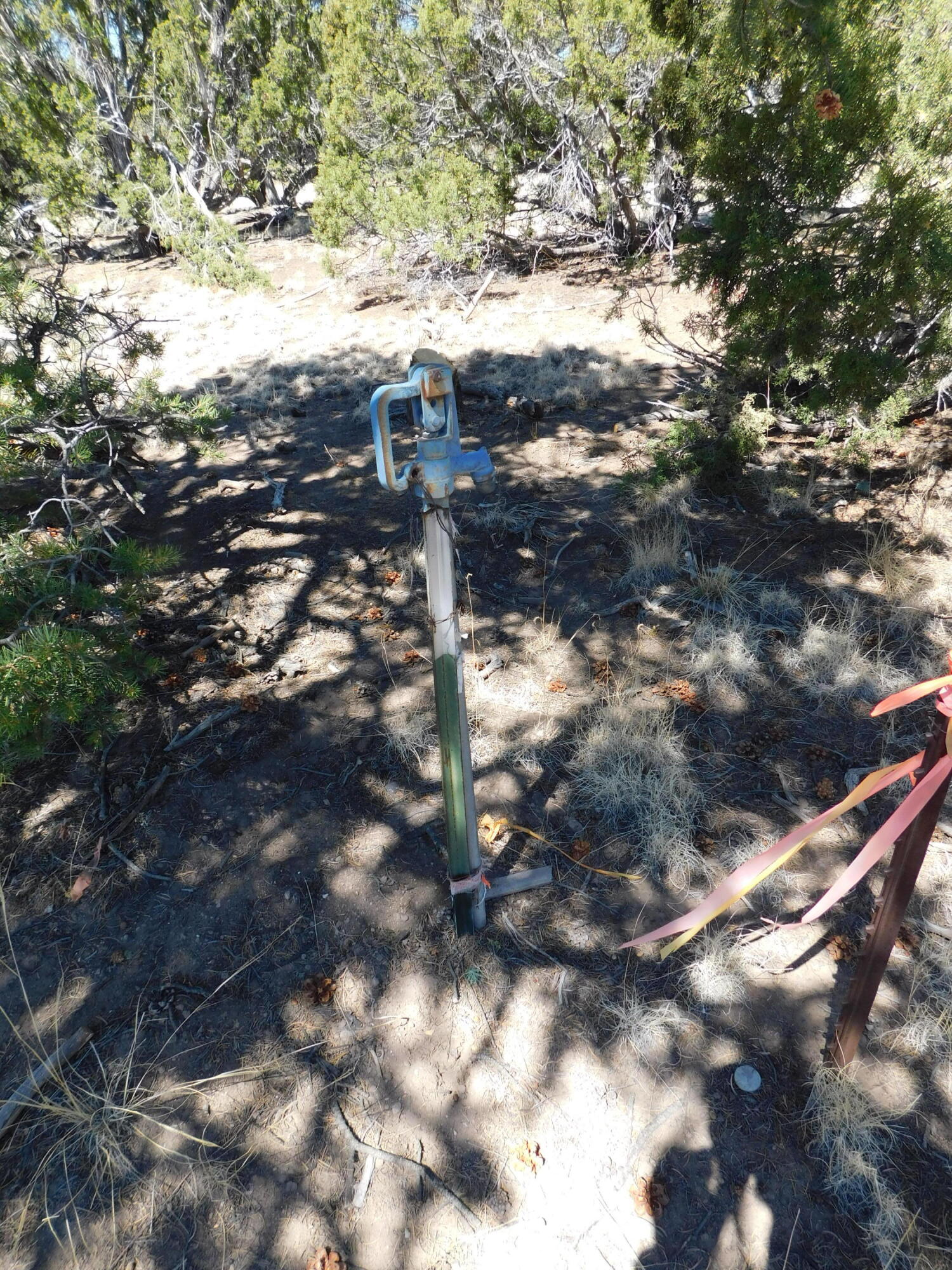 15 River Lane, Quemado, New Mexico image 4