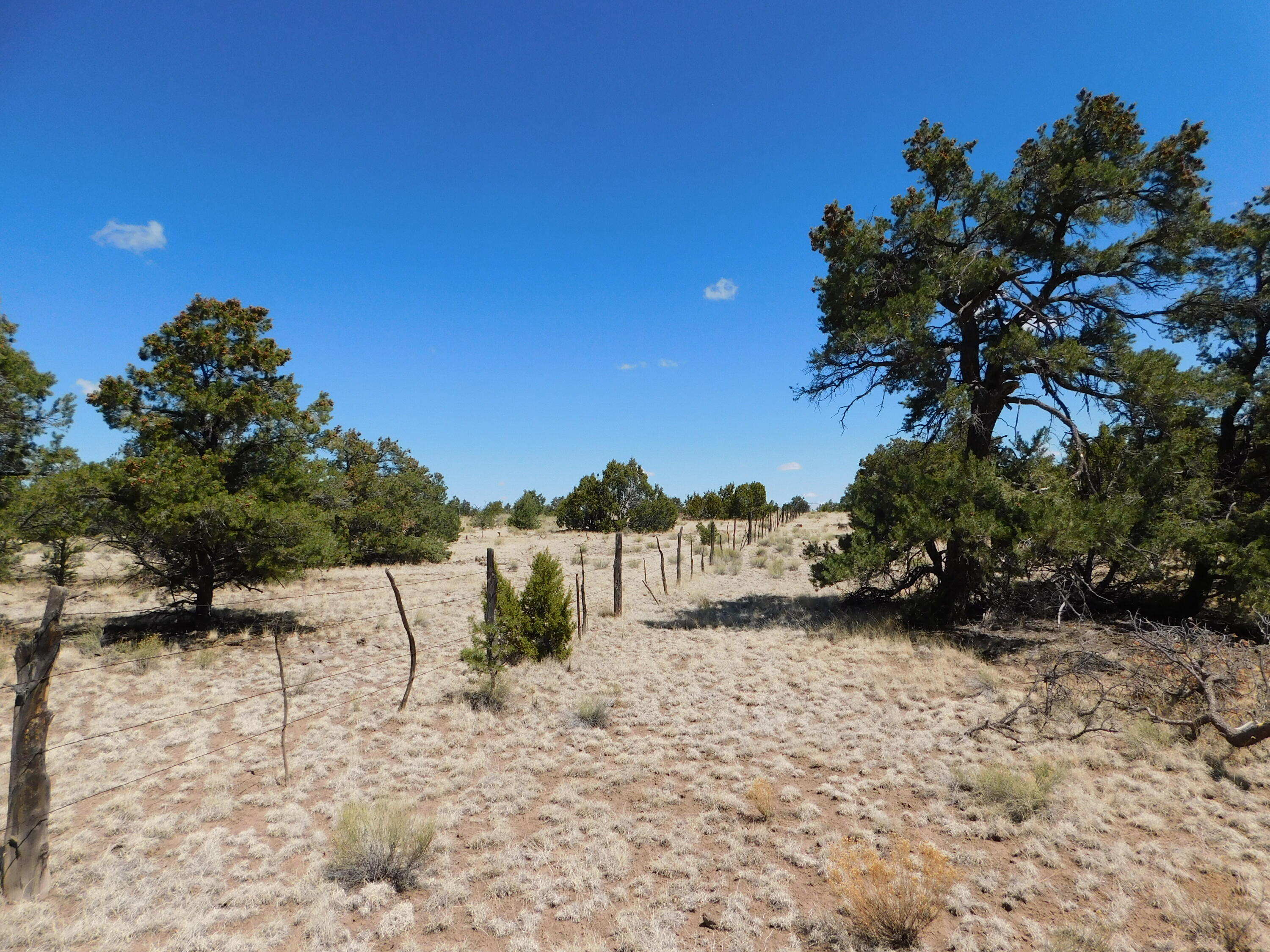 15 River Lane, Quemado, New Mexico image 6