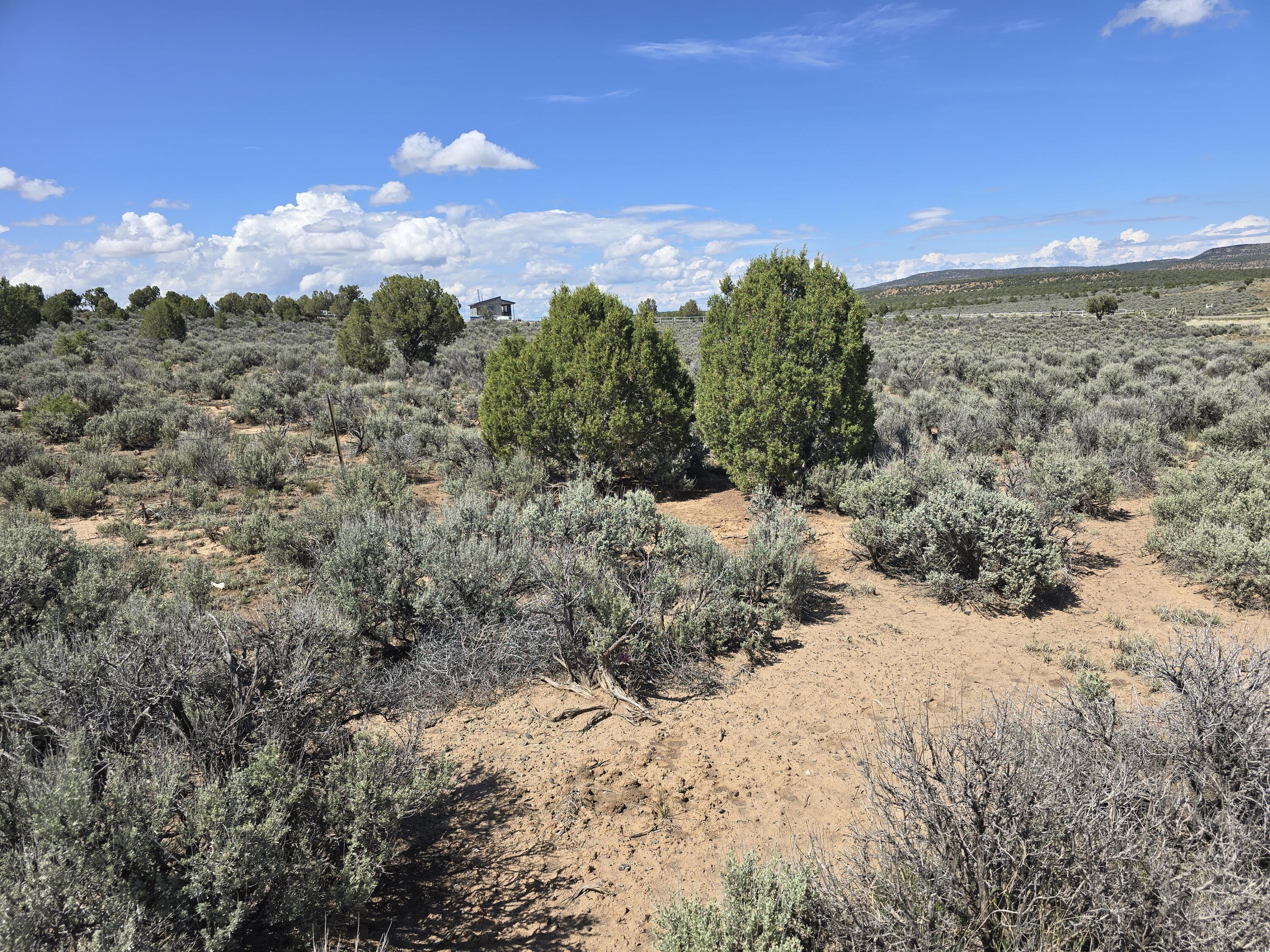 Us-64, Dulce, New Mexico image 5