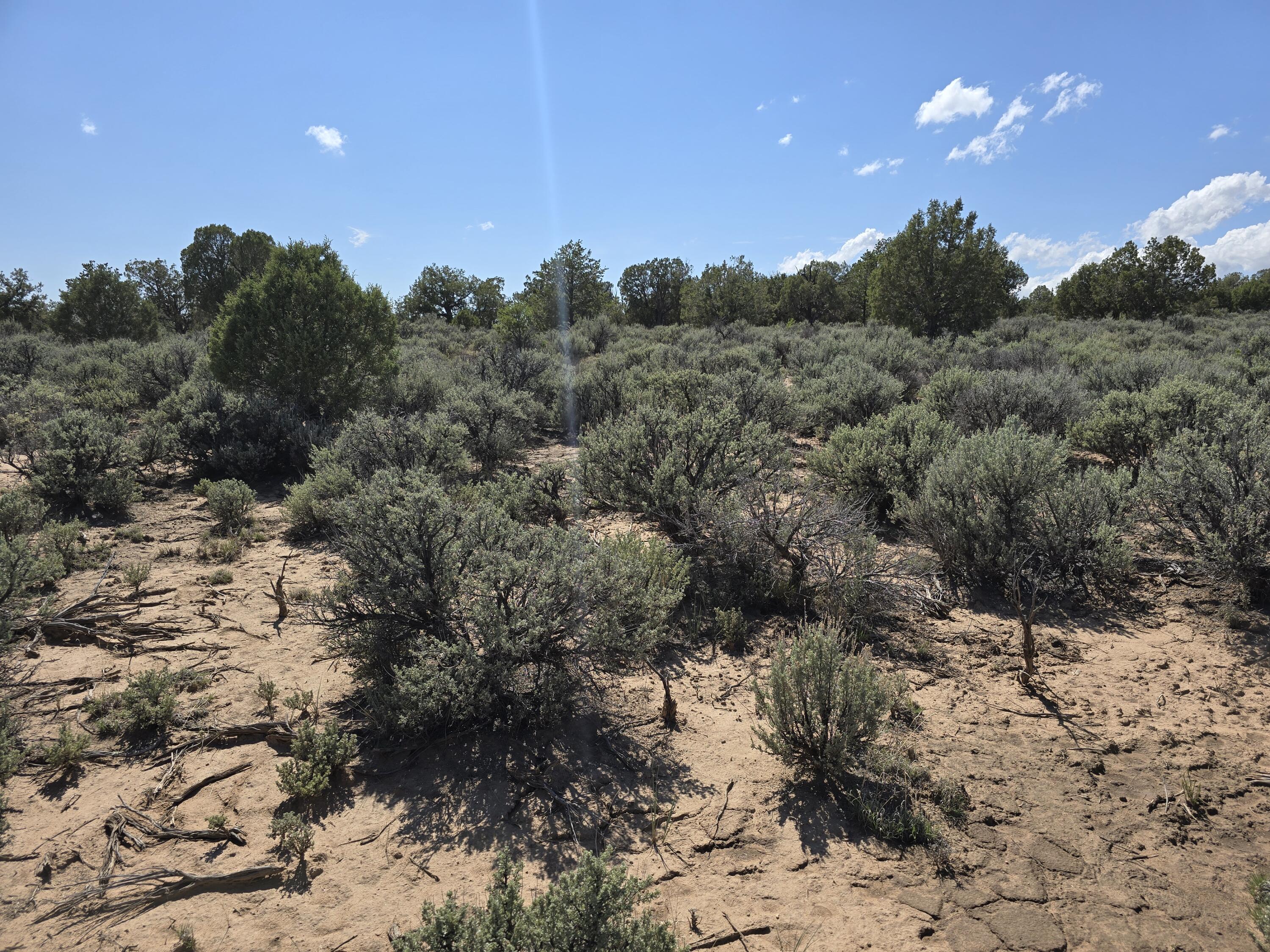 Us-64, Dulce, New Mexico image 15