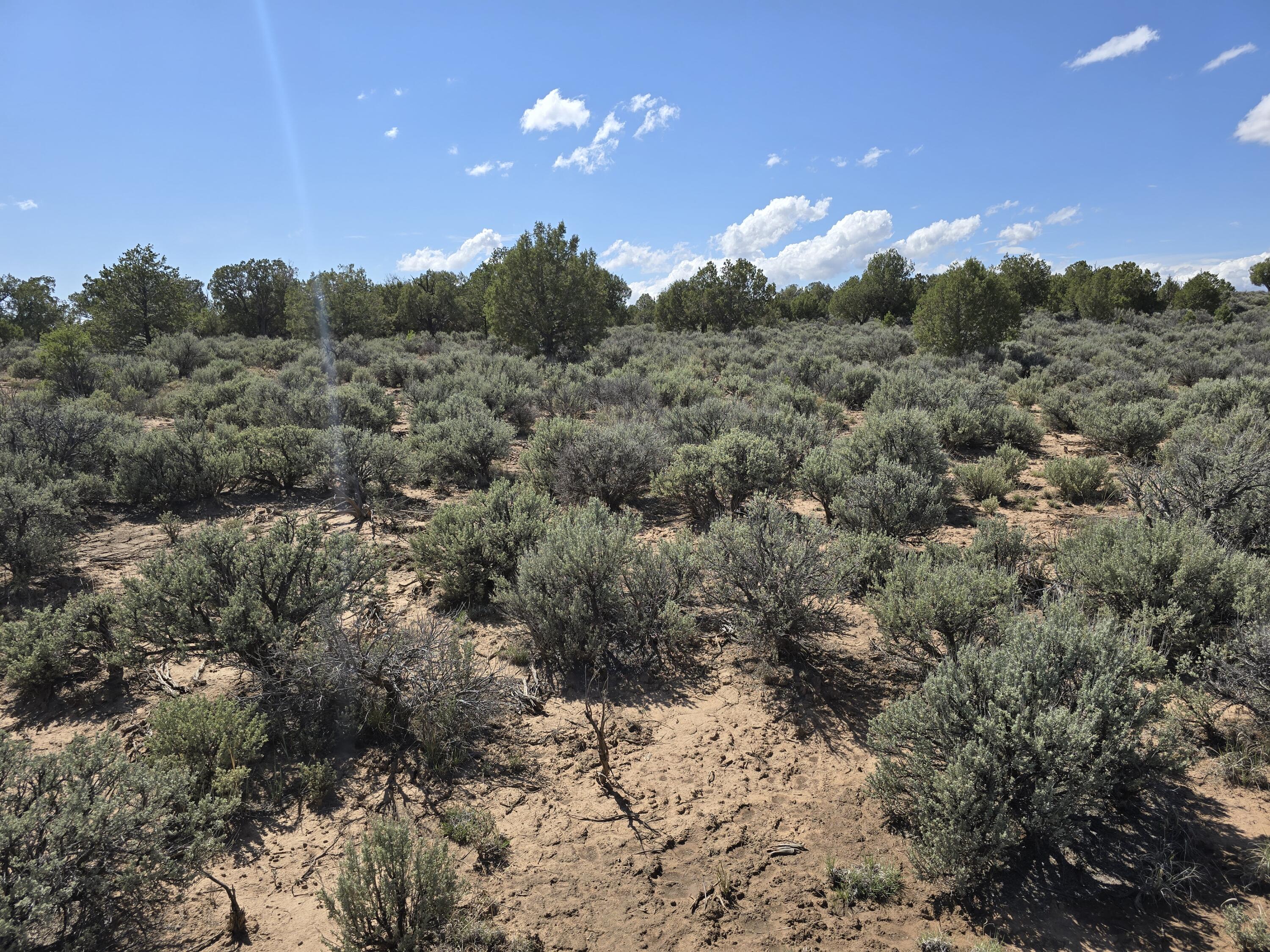 Us-64, Dulce, New Mexico image 14