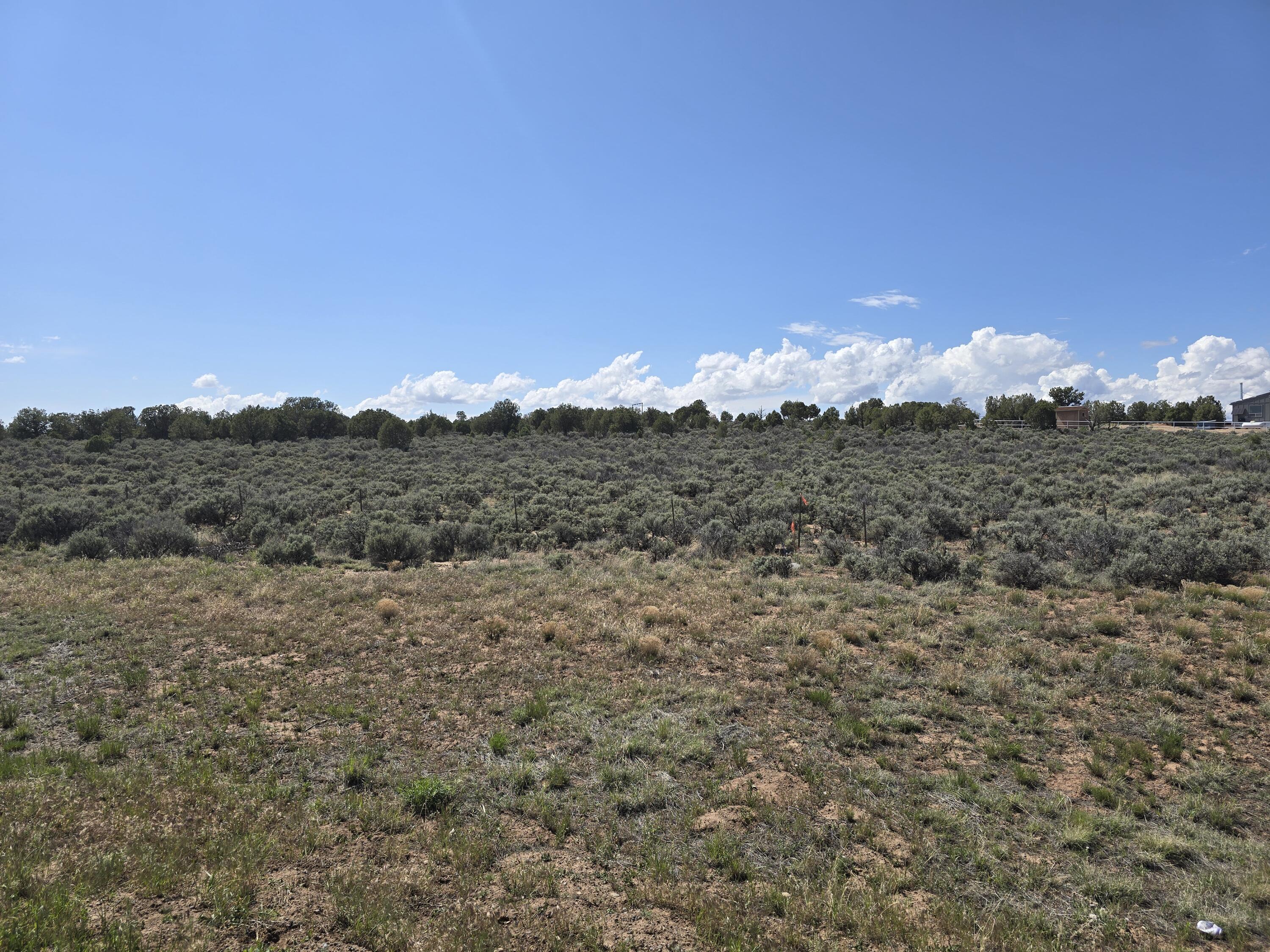 Us-64, Dulce, New Mexico image 1