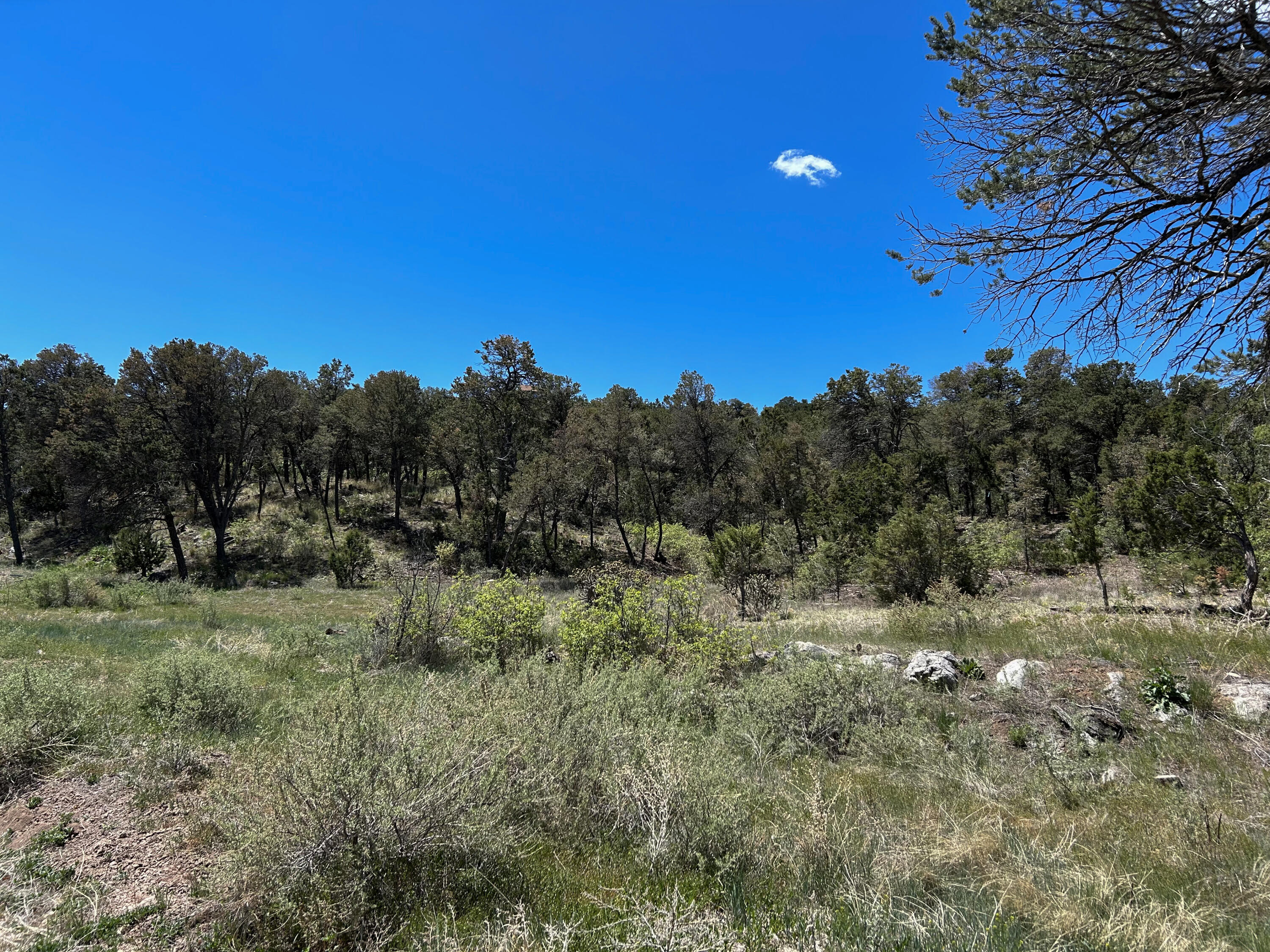 68 Canyon Road, Sandia Park, New Mexico image 19