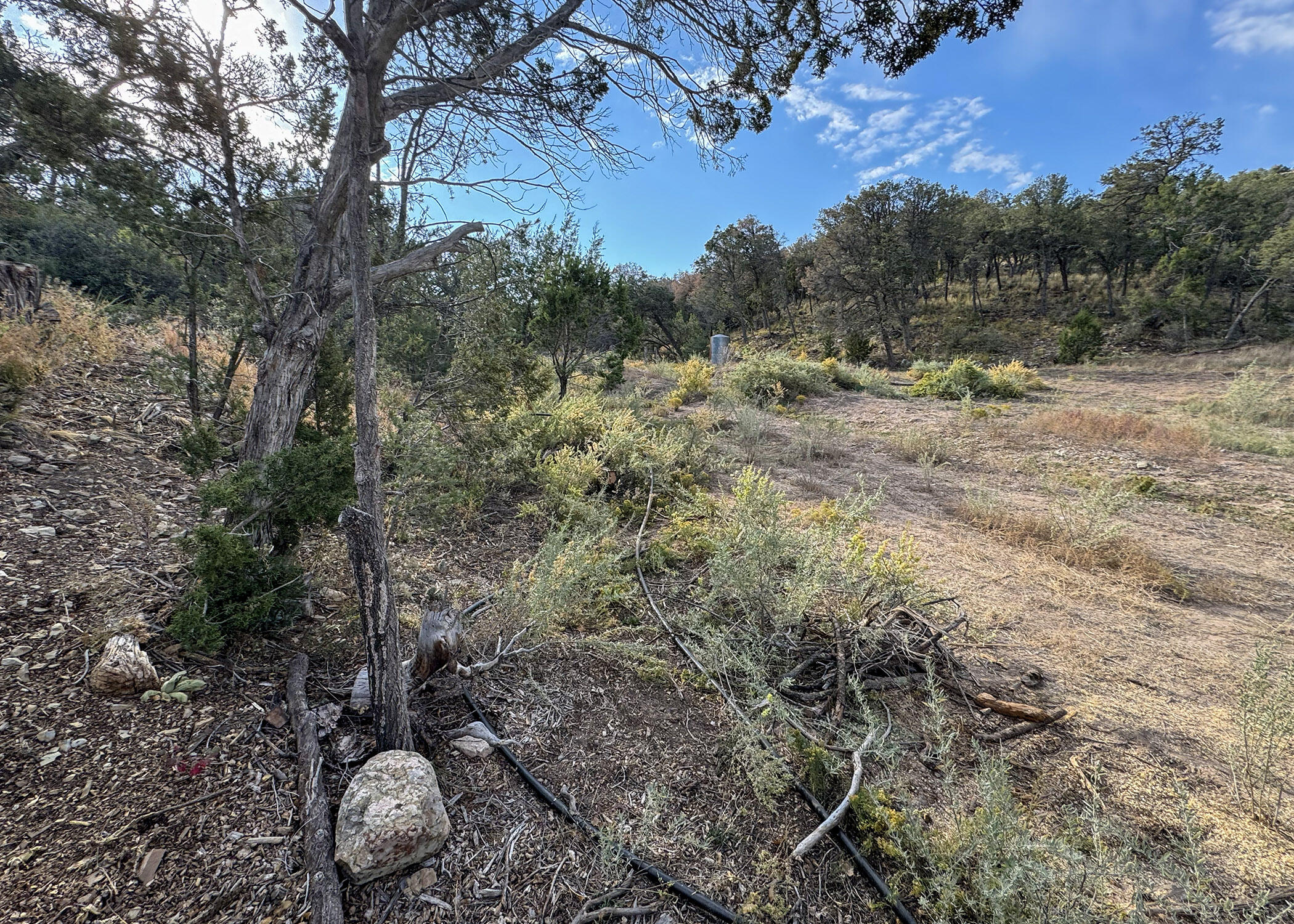 68 Canyon Road, Sandia Park, New Mexico image 15