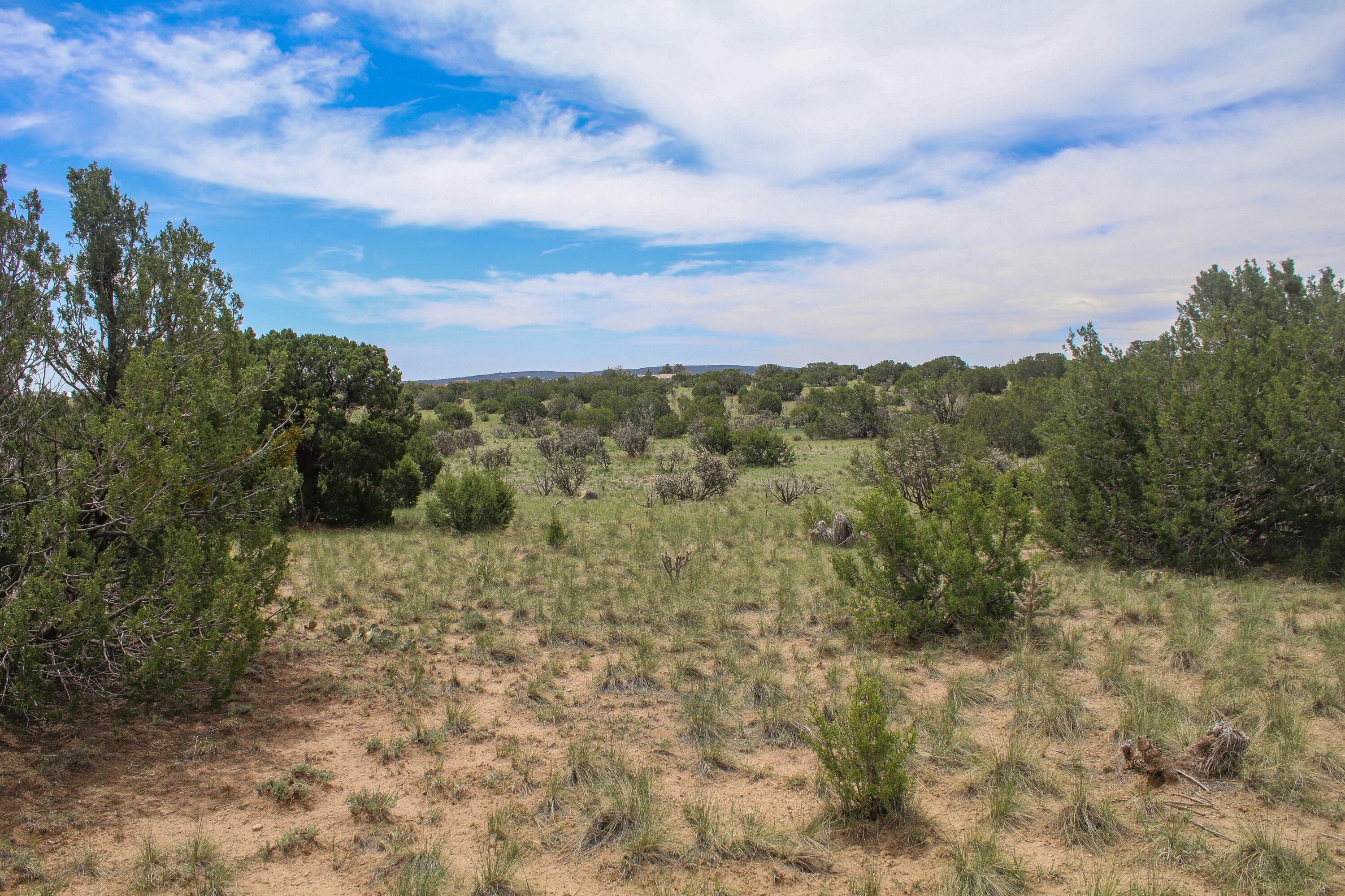 19 Neighborly Way, Edgewood, New Mexico image 3