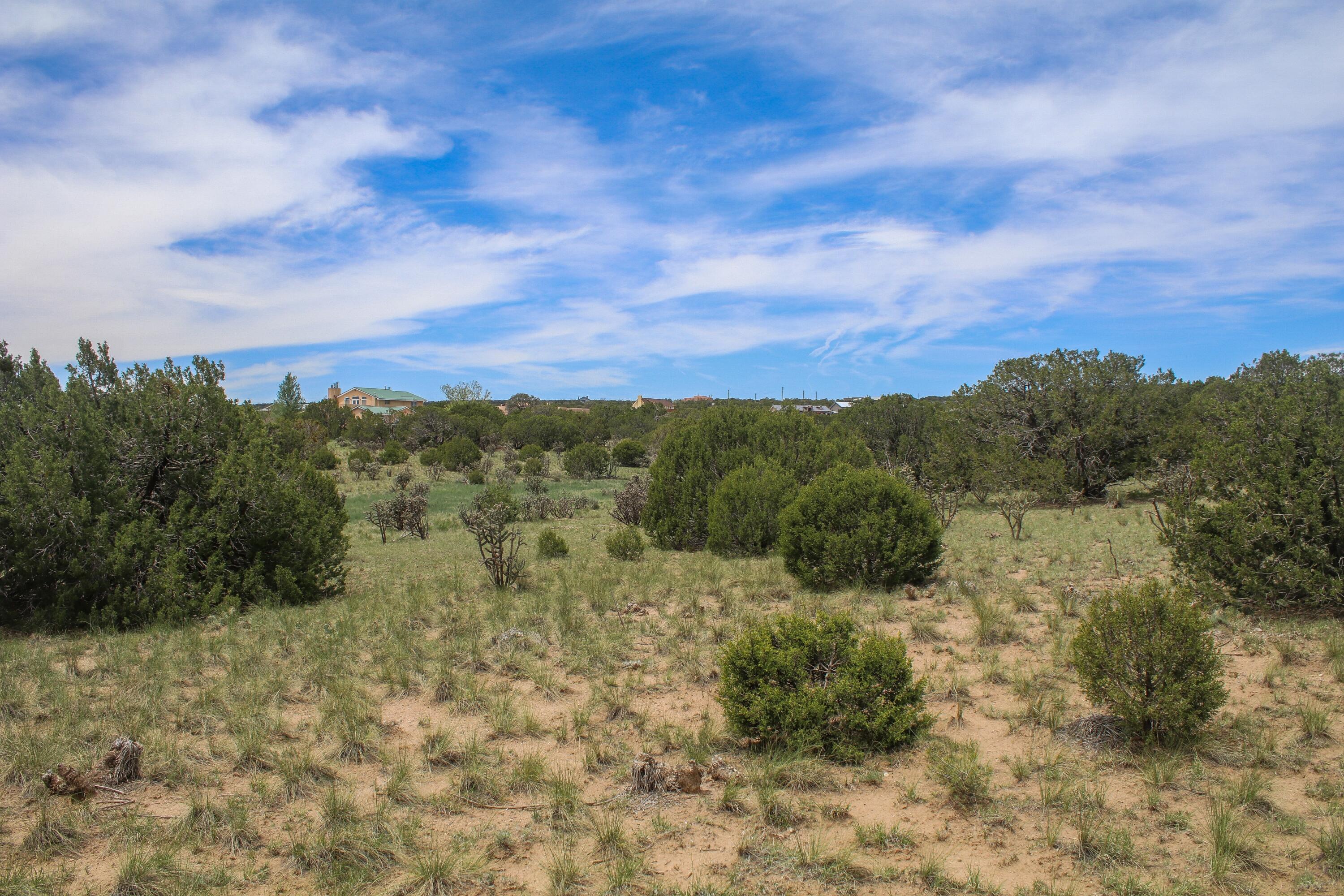 19 Neighborly Way, Edgewood, New Mexico image 4