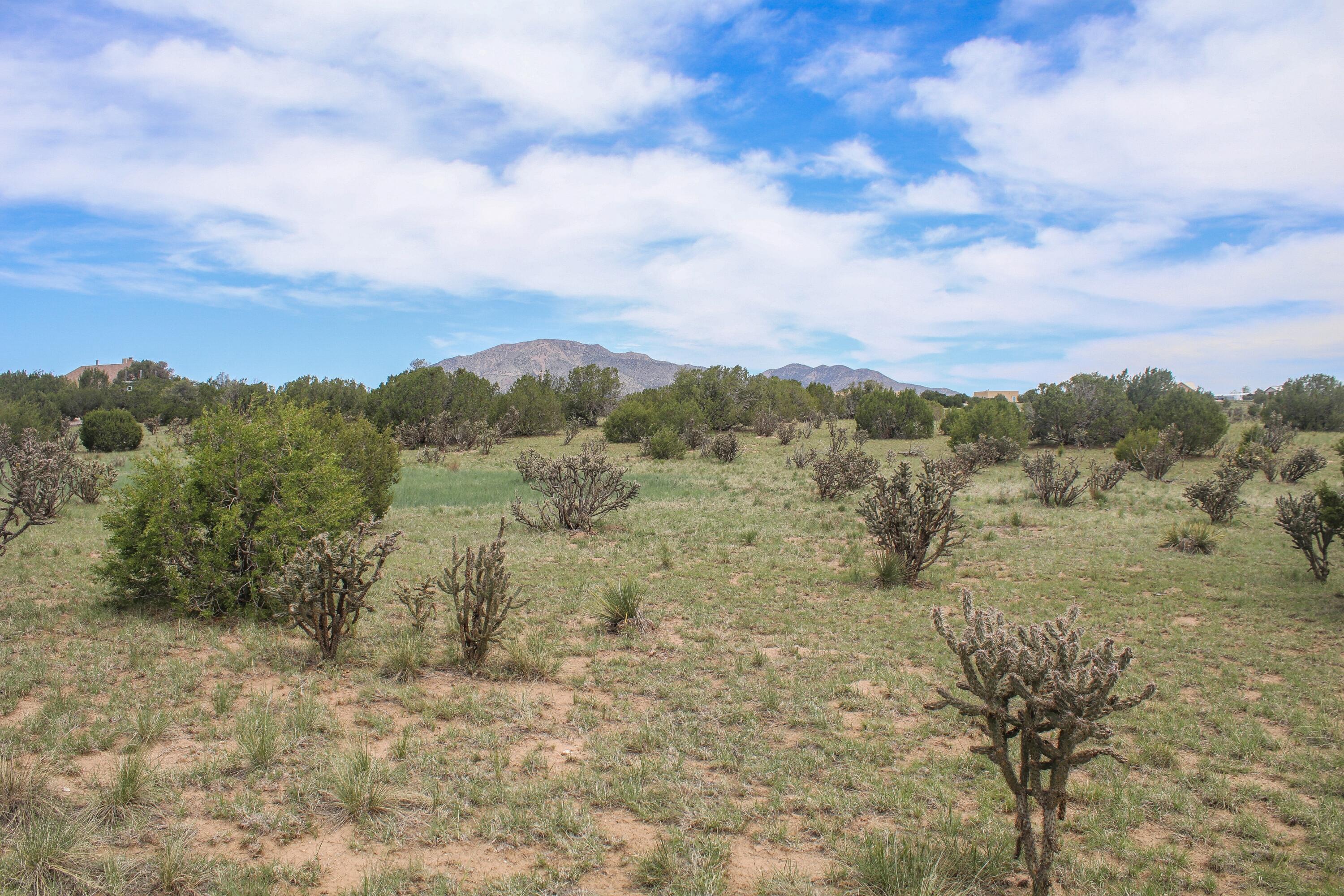 19 Neighborly Way, Edgewood, New Mexico image 1