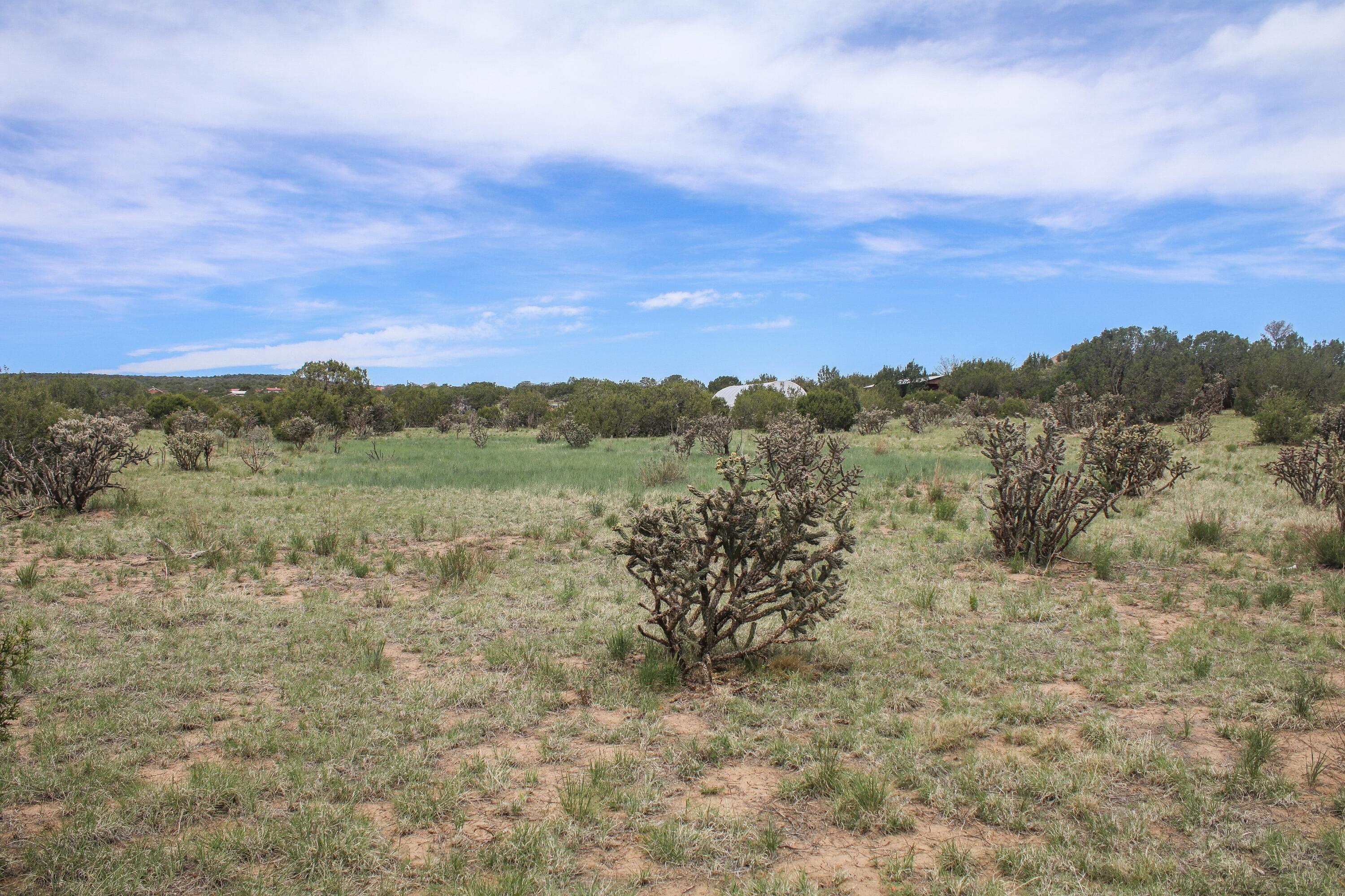 19 Neighborly Way, Edgewood, New Mexico image 2