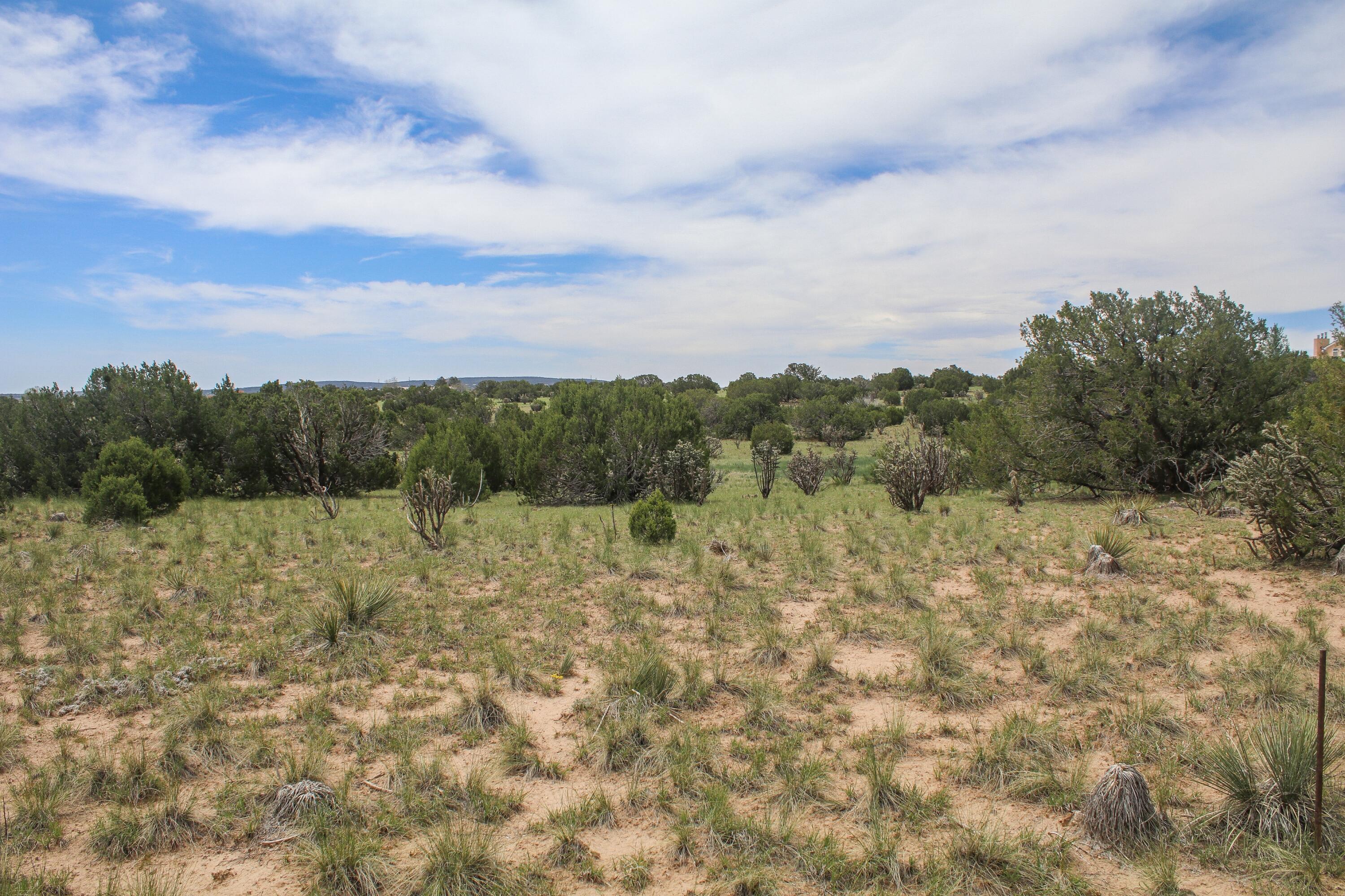 19 Neighborly Way, Edgewood, New Mexico image 5