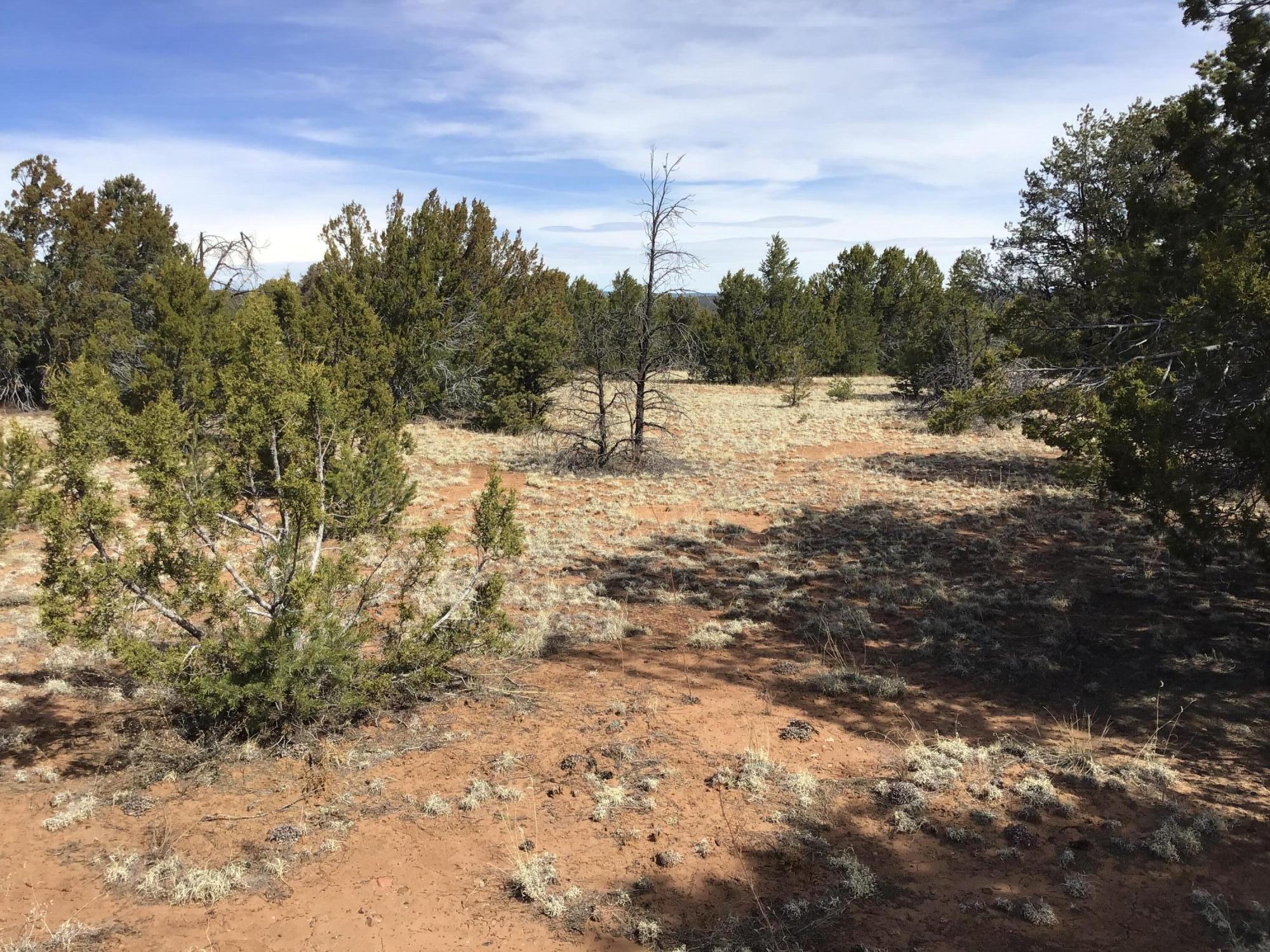 Lot 15 Country Lane, Ramah, New Mexico image 9