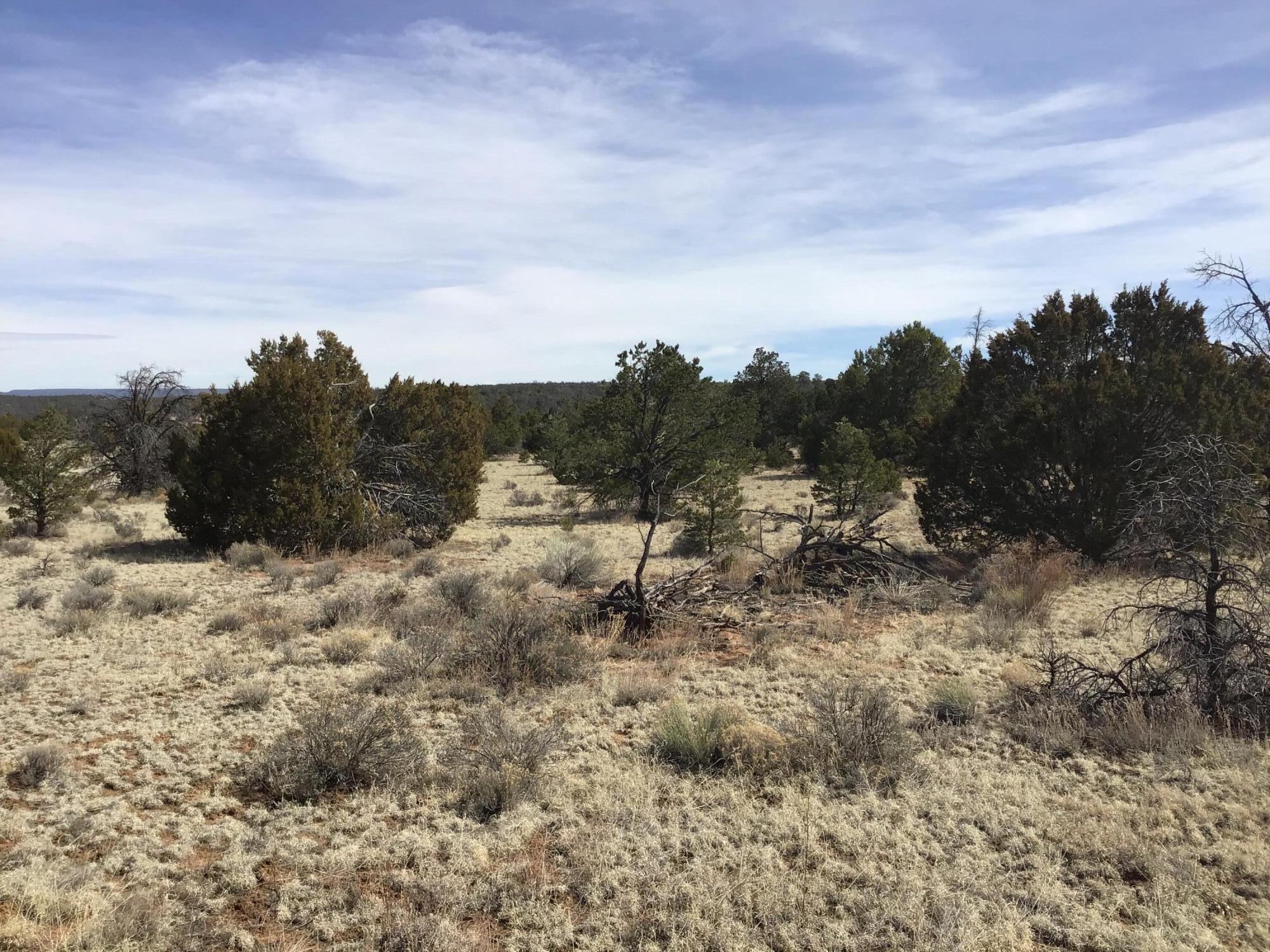 Lot 15 Country Lane, Ramah, New Mexico image 3