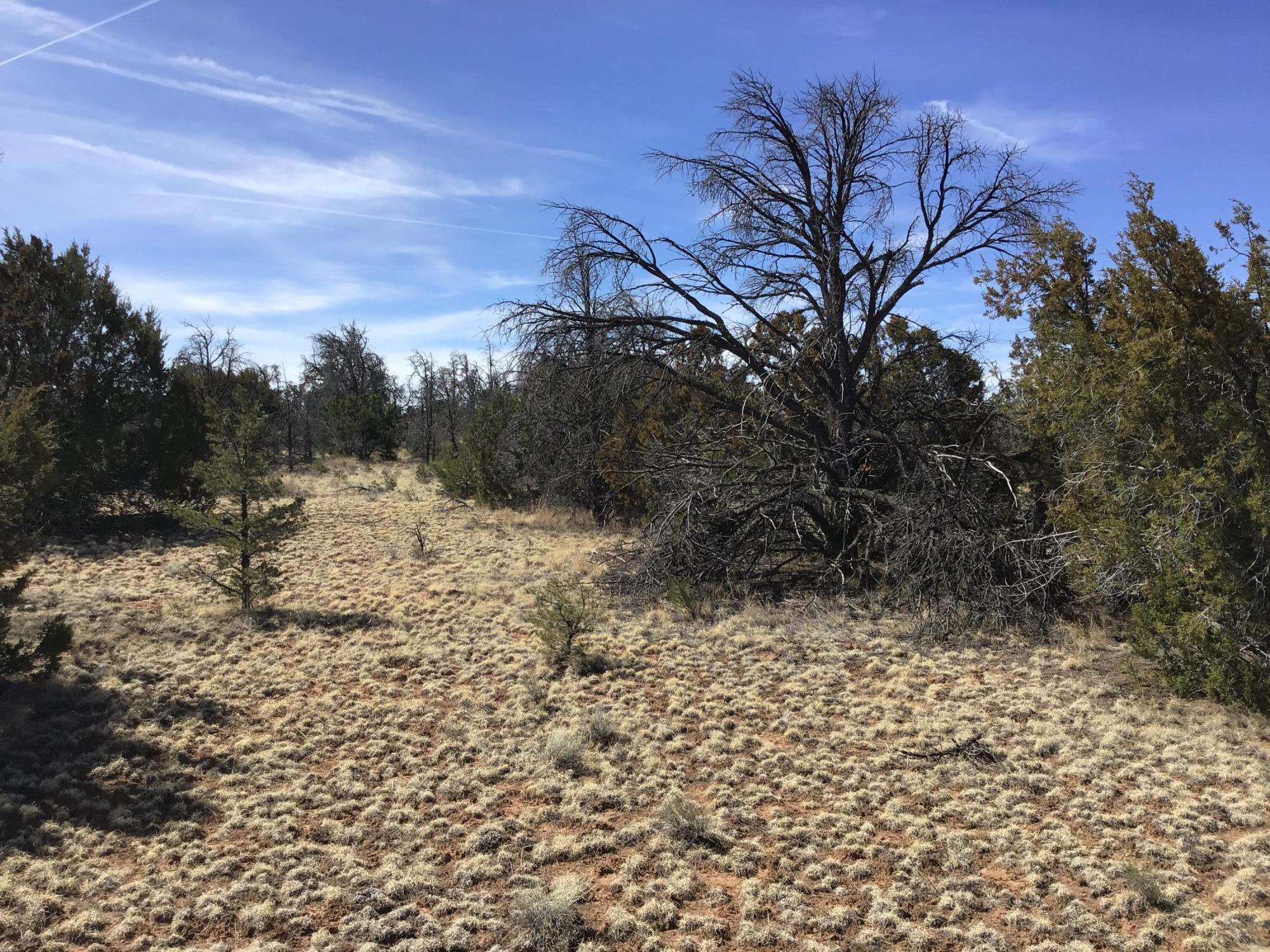 Lot 15 Country Lane, Ramah, New Mexico image 17