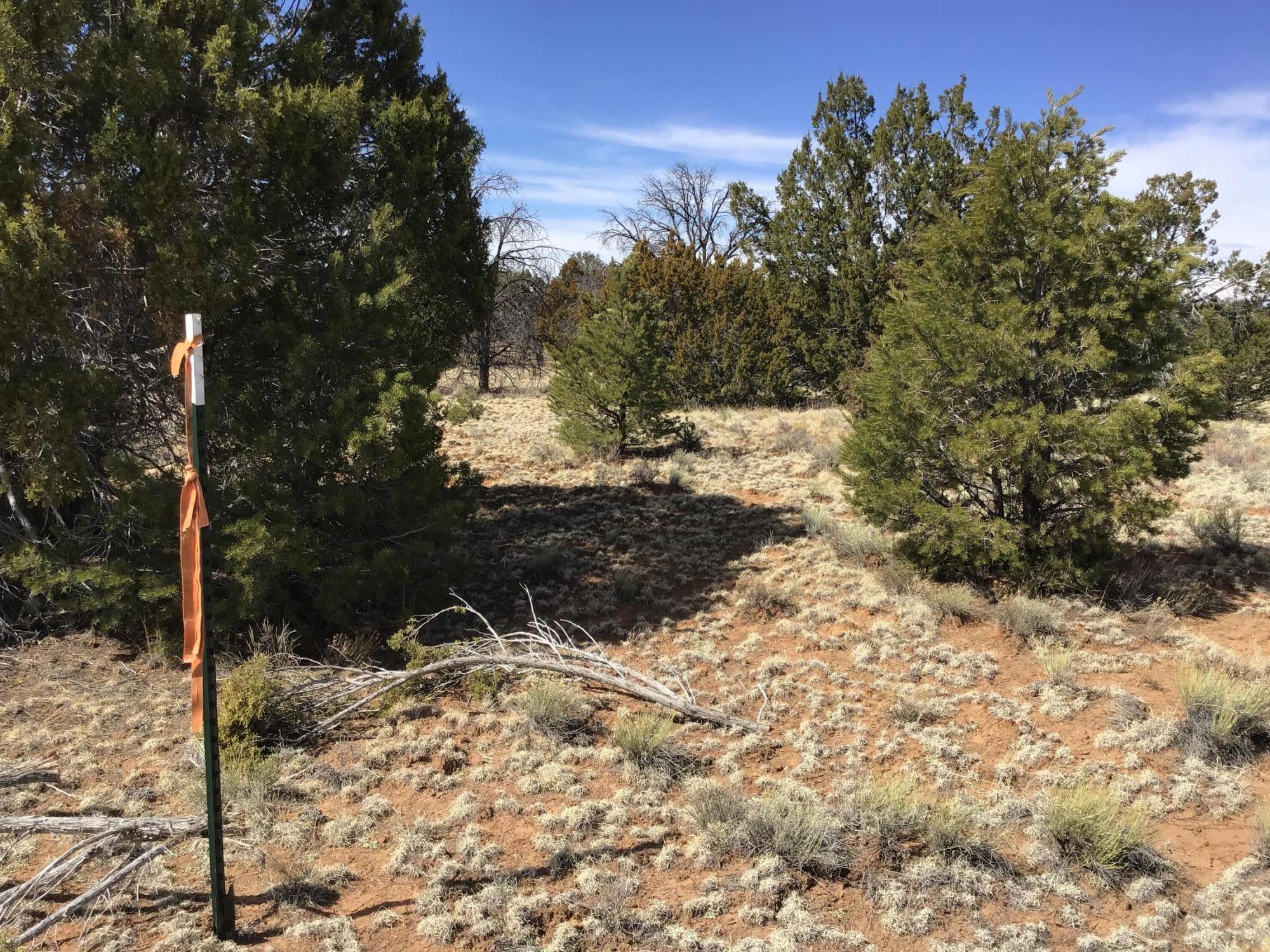 Lot 15 Country Lane, Ramah, New Mexico image 18