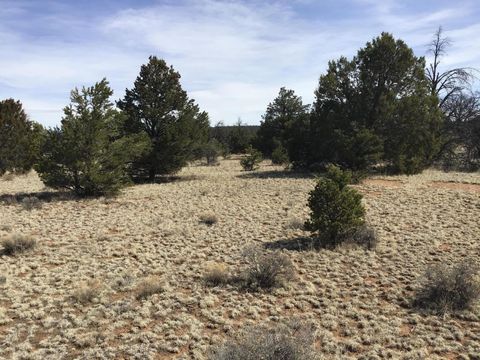 Vacant Land For Sale - LOT 15 Country Lane<br/> Ramah, NM 87321