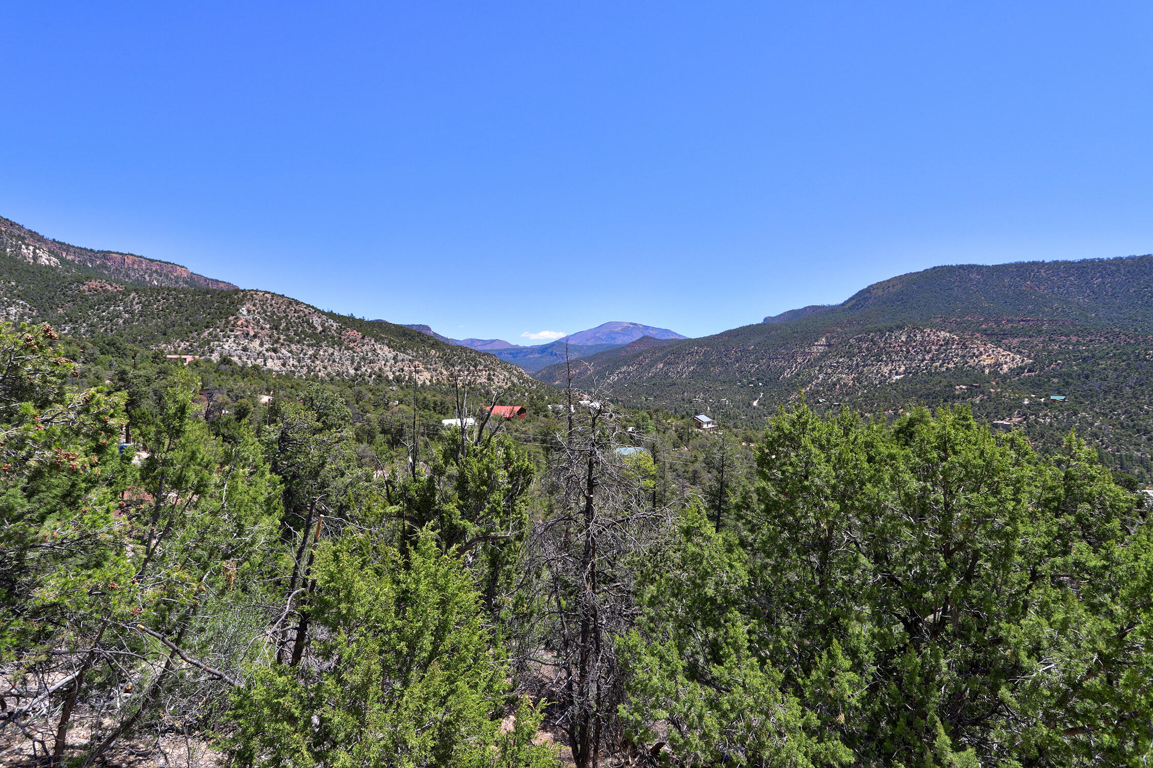 Lot 85 Cebolla Loop, Jemez Springs, New Mexico image 3