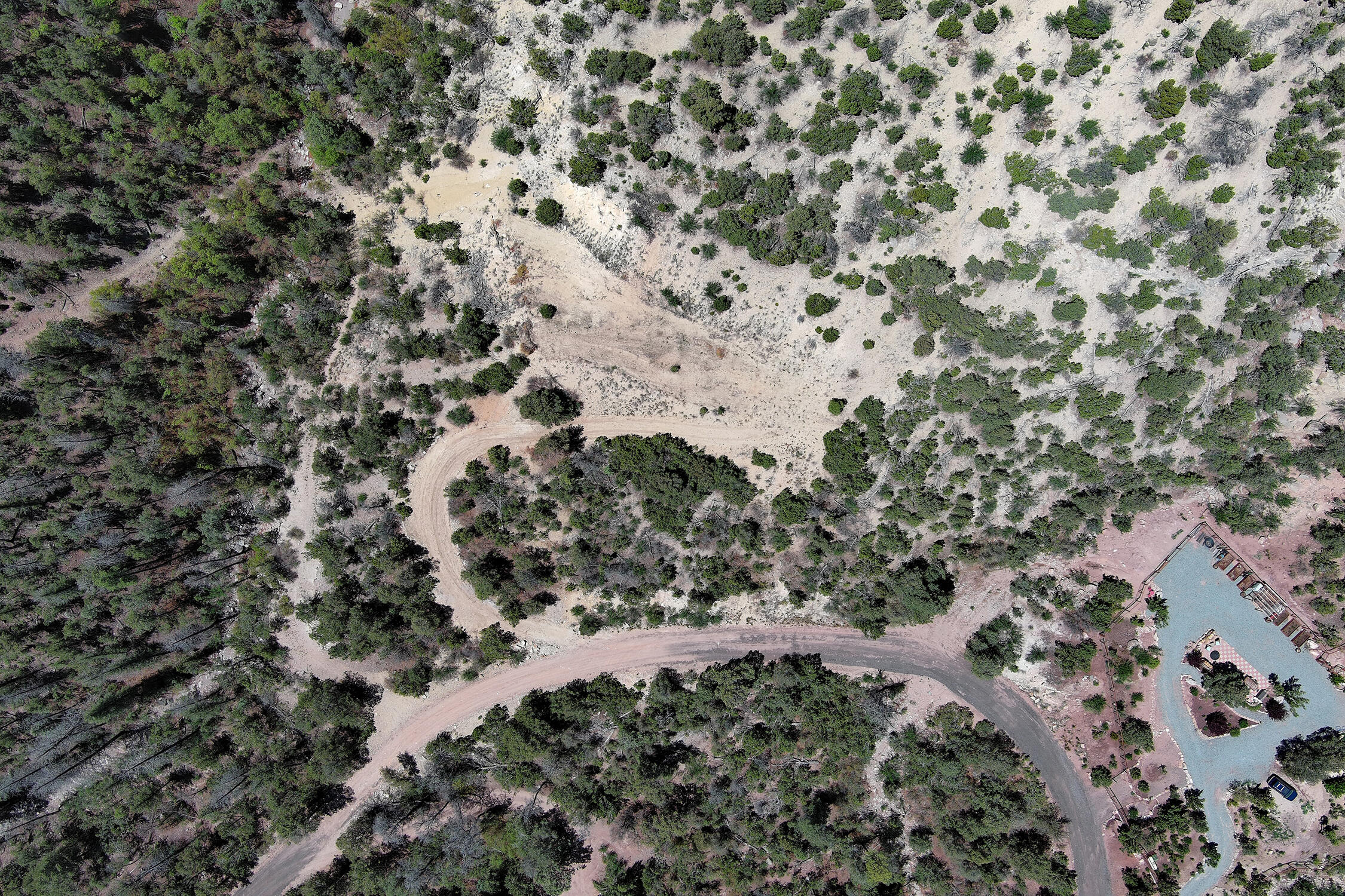 Lot 85 Cebolla Loop, Jemez Springs, New Mexico image 21