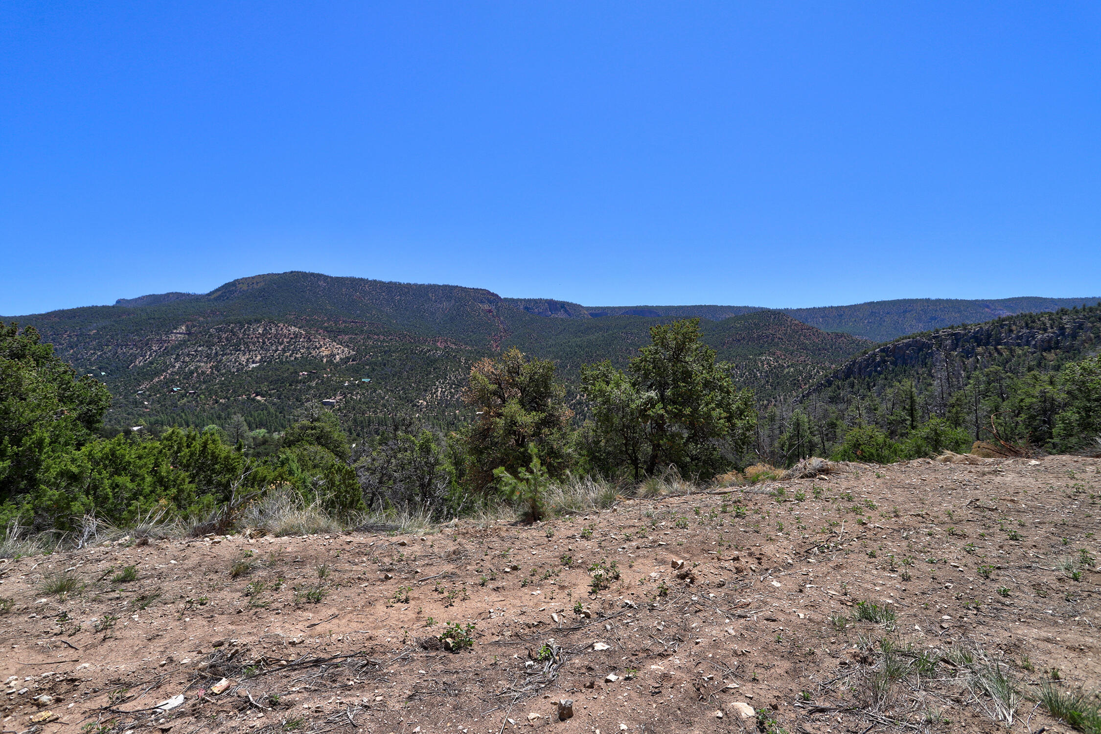 Lot 85 Cebolla Loop, Jemez Springs, New Mexico image 14
