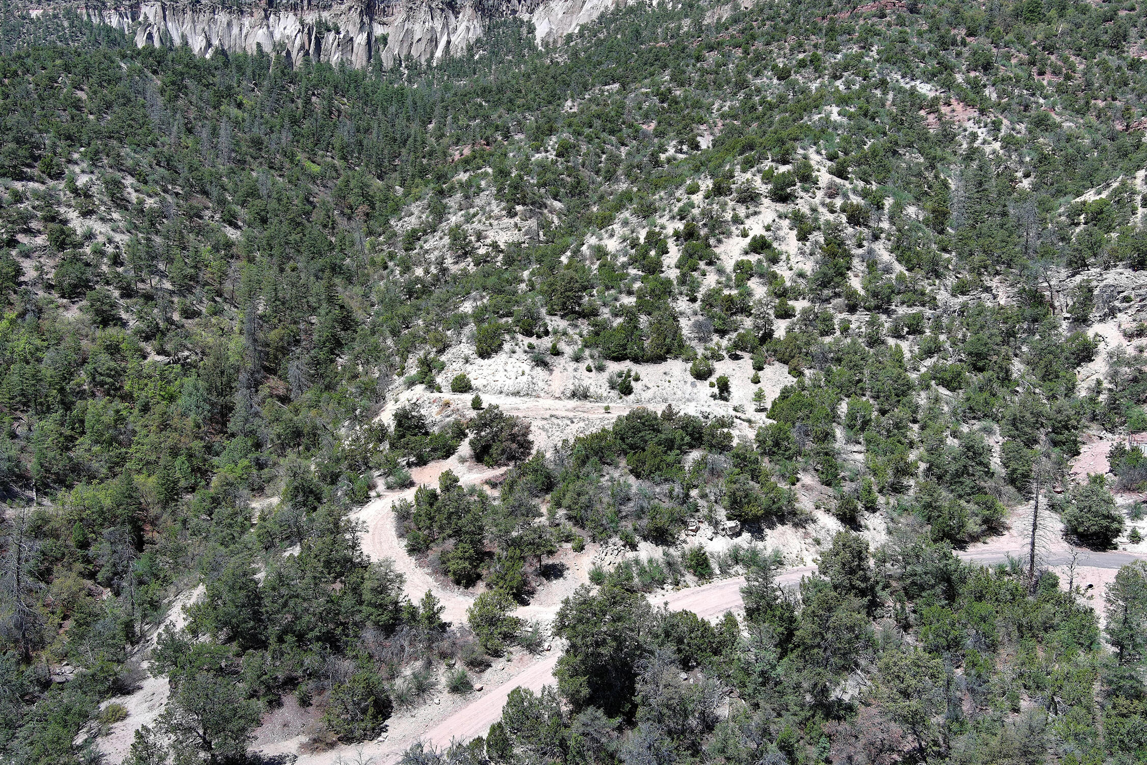 Lot 85 Cebolla Loop, Jemez Springs, New Mexico image 24