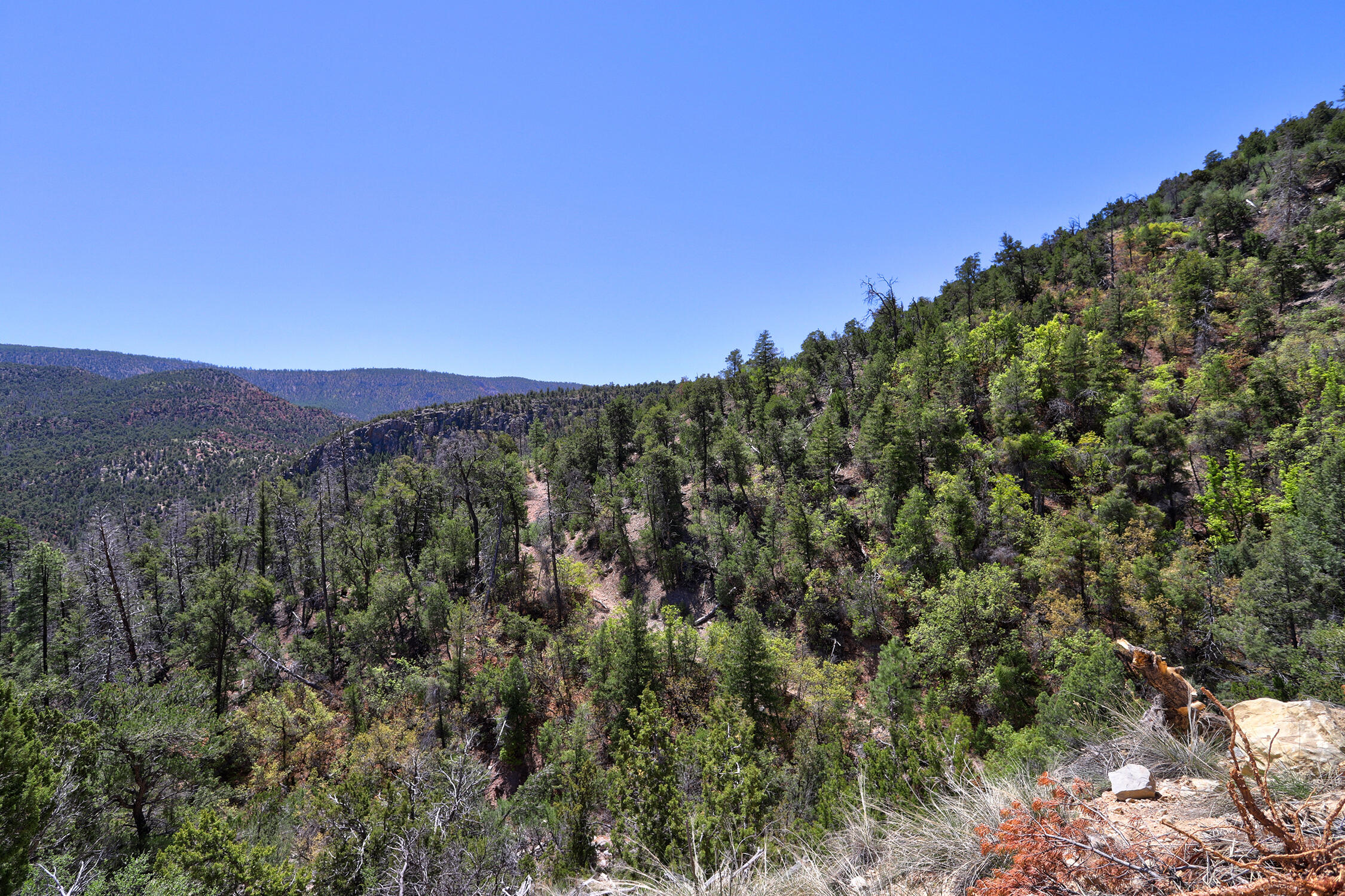 Lot 85 Cebolla Loop, Jemez Springs, New Mexico image 4