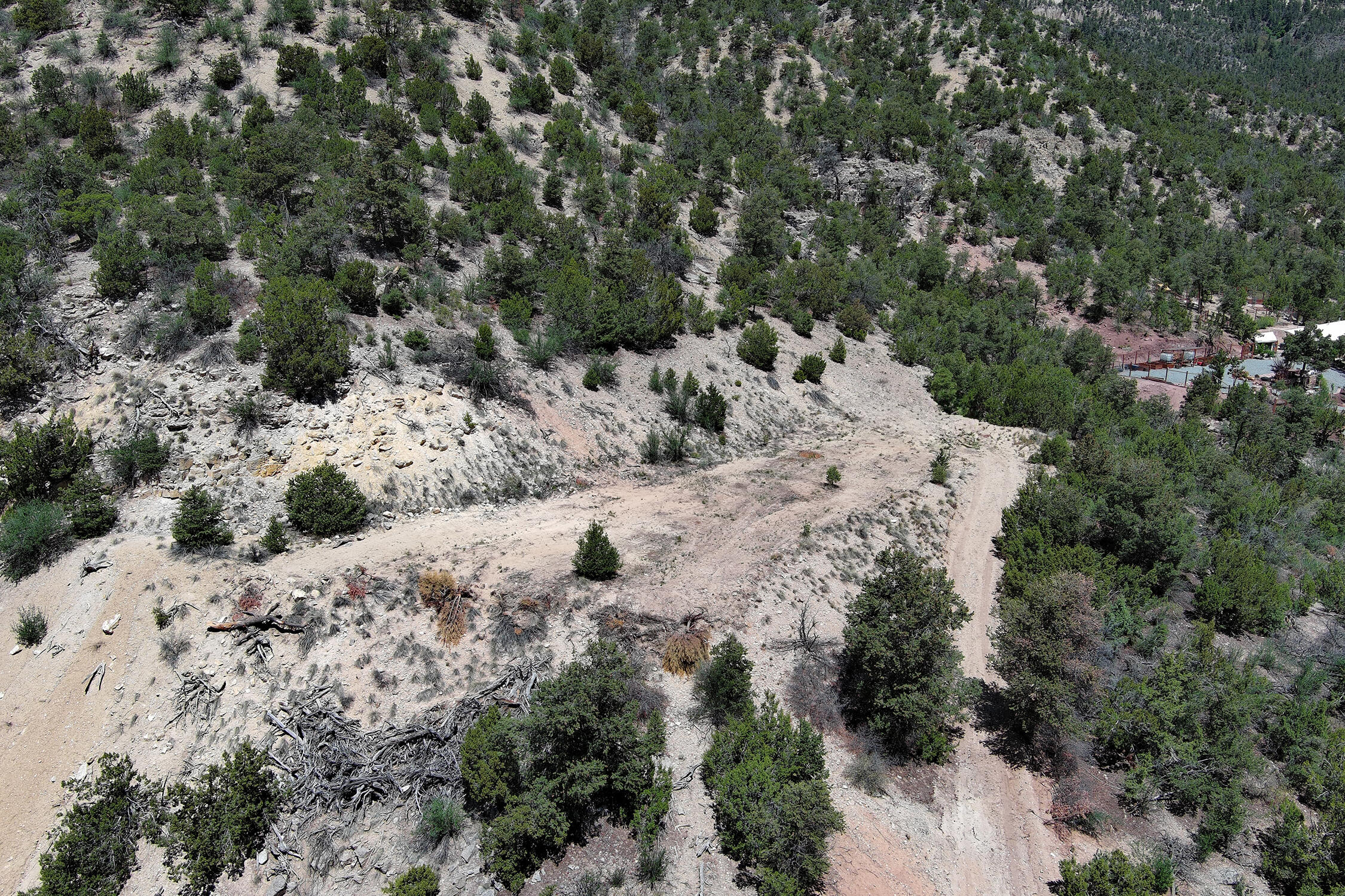 Lot 85 Cebolla Loop, Jemez Springs, New Mexico image 23