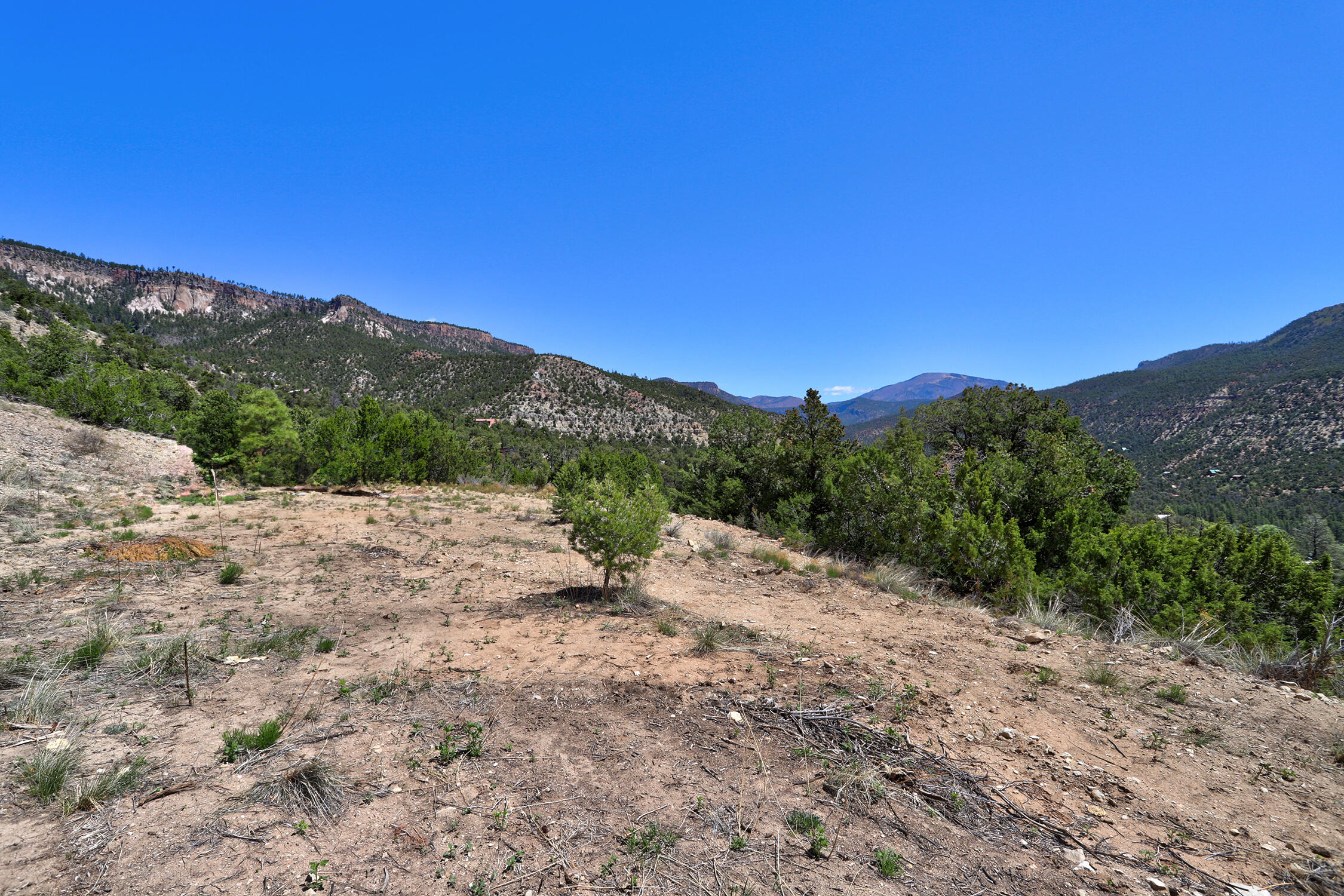 Lot 85 Cebolla Loop, Jemez Springs, New Mexico image 17