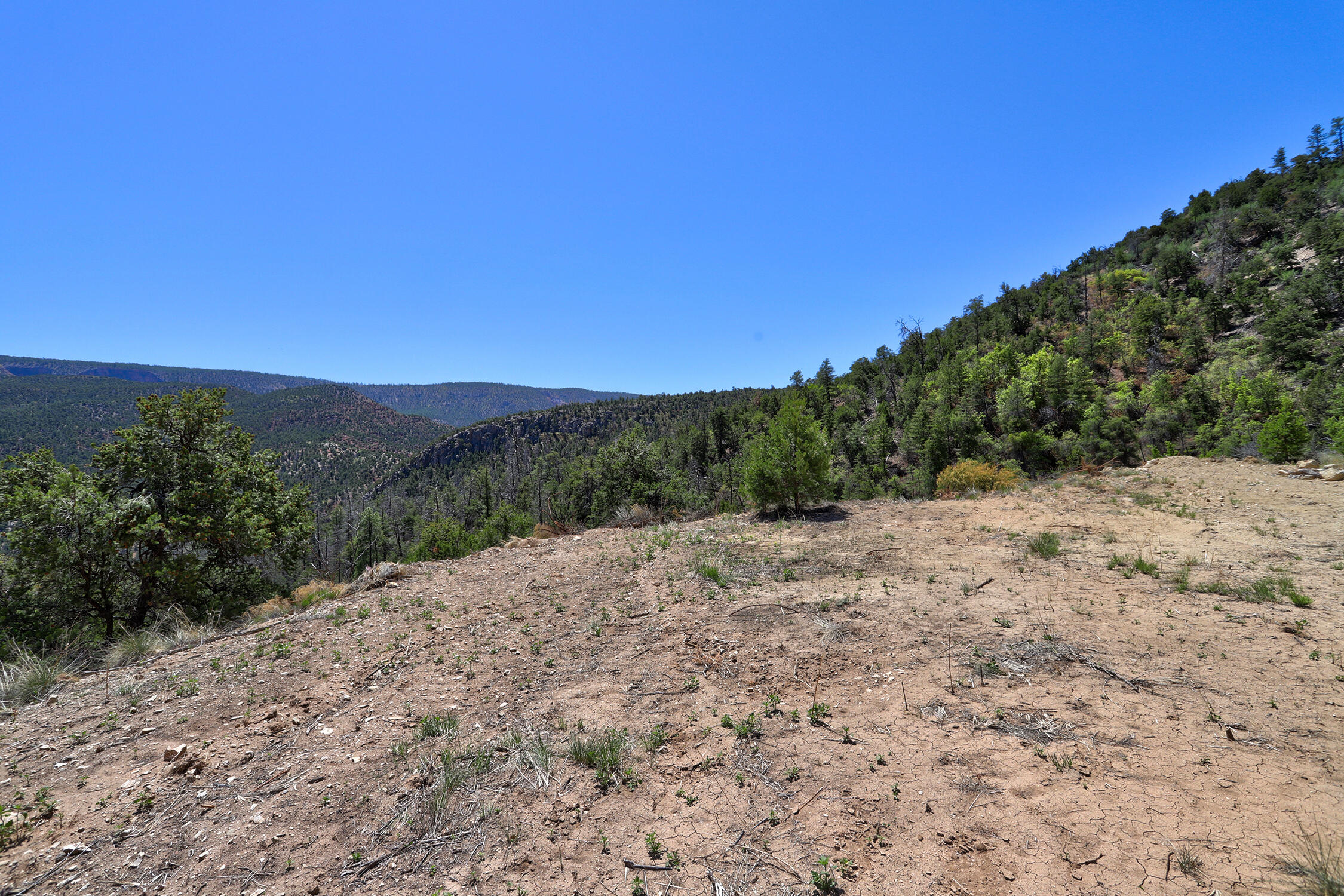 Lot 85 Cebolla Loop, Jemez Springs, New Mexico image 15
