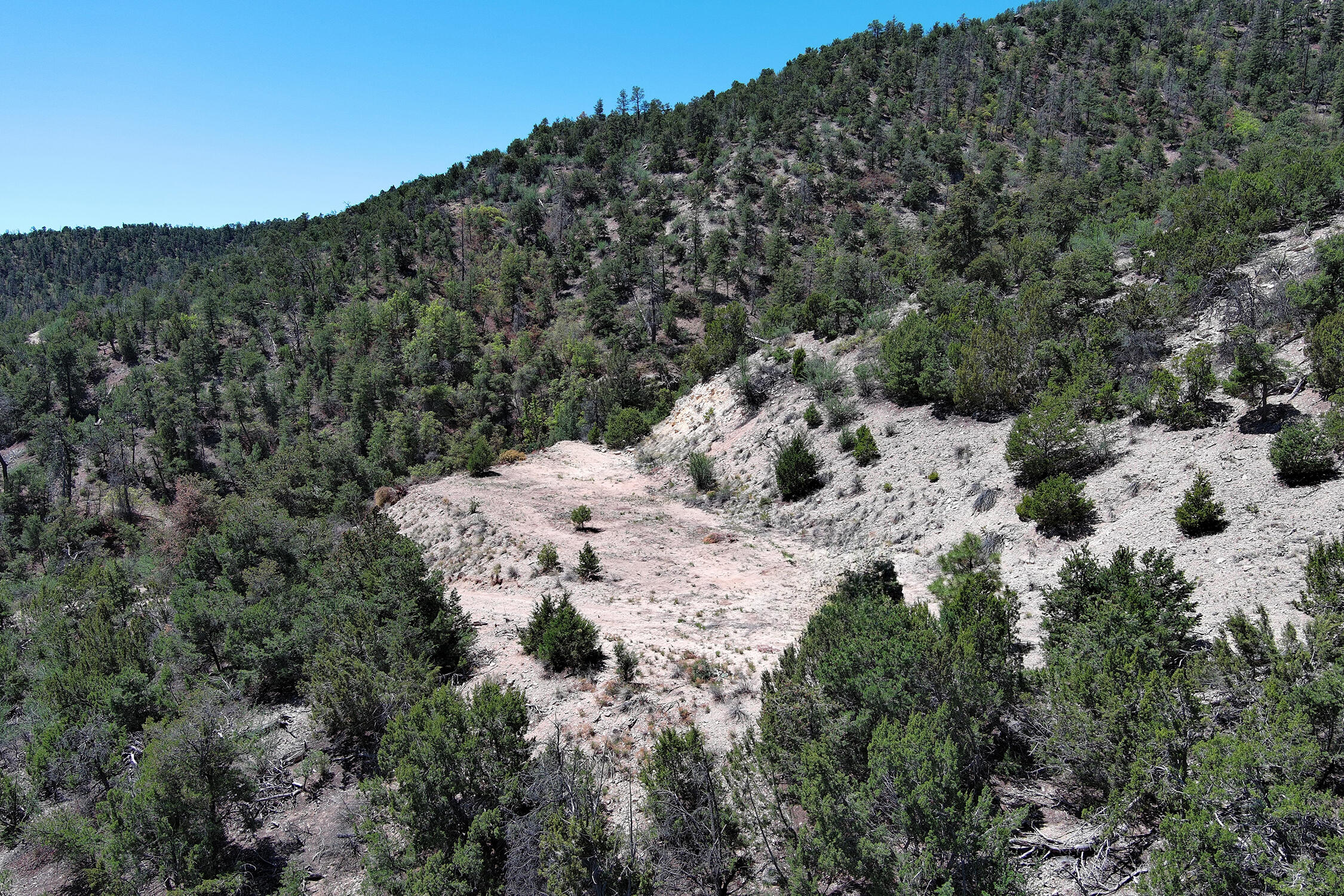 Lot 85 Cebolla Loop, Jemez Springs, New Mexico image 9